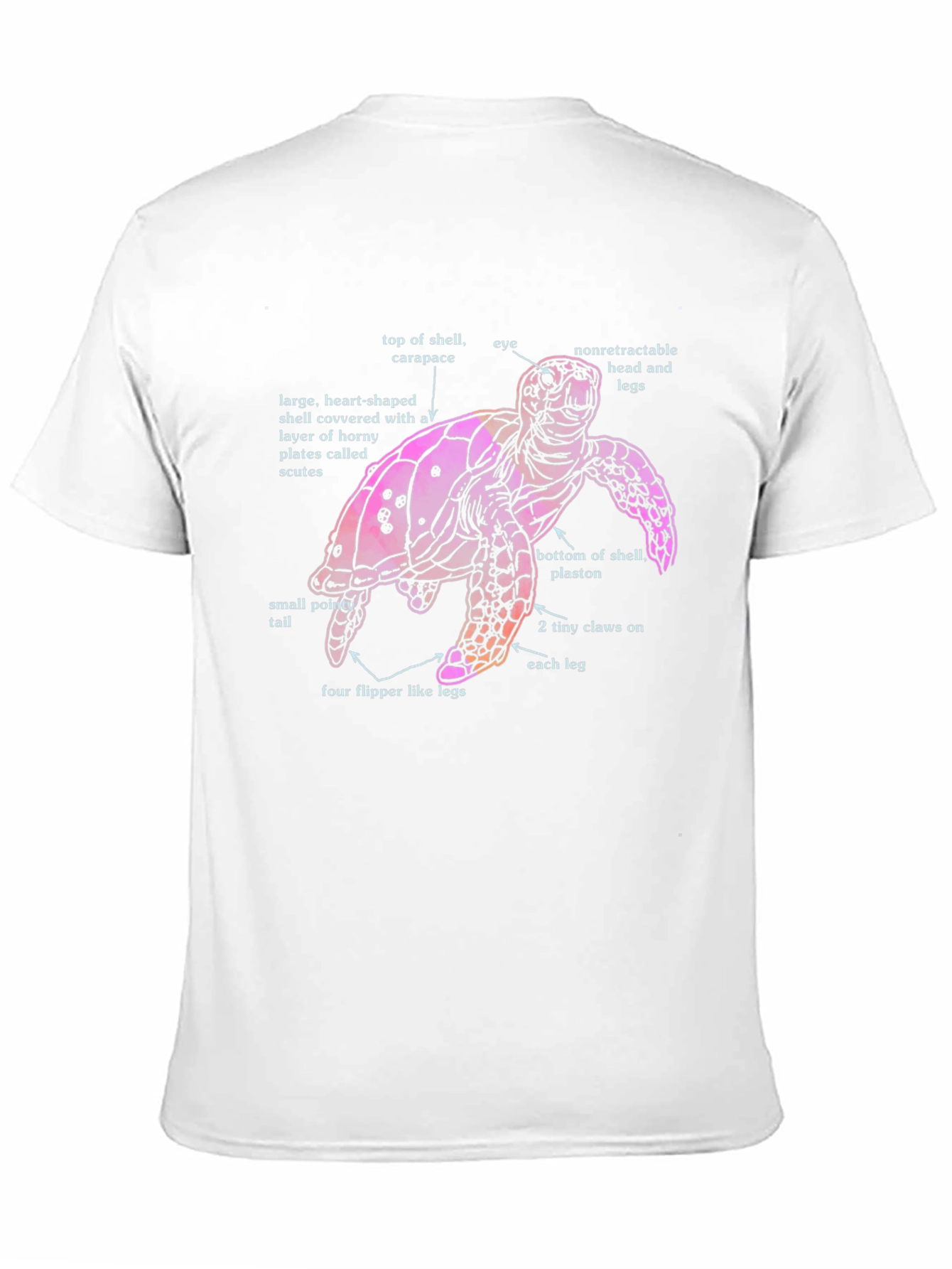 Anatomical Turtle Graphic T-Shirt