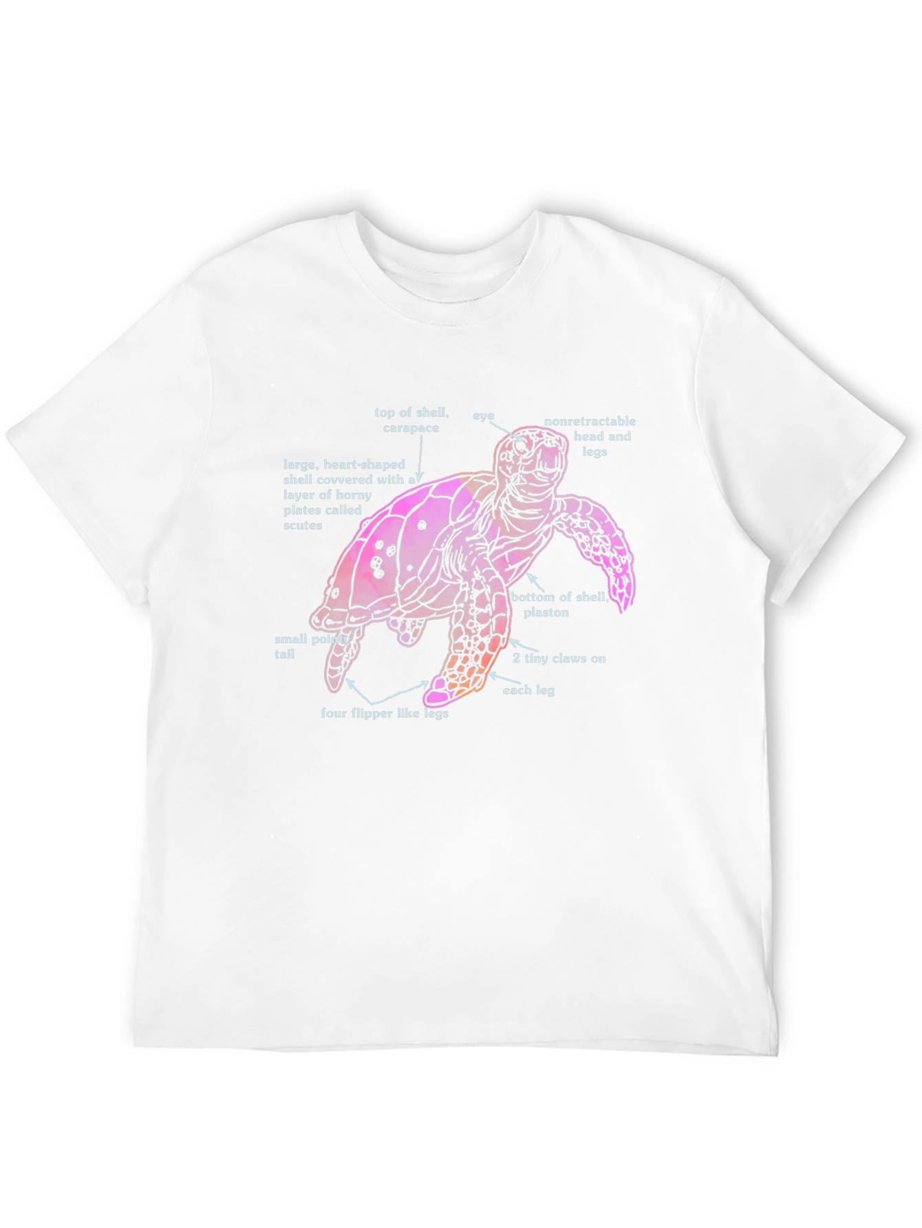 Anatomical Turtle Graphic T-Shirt