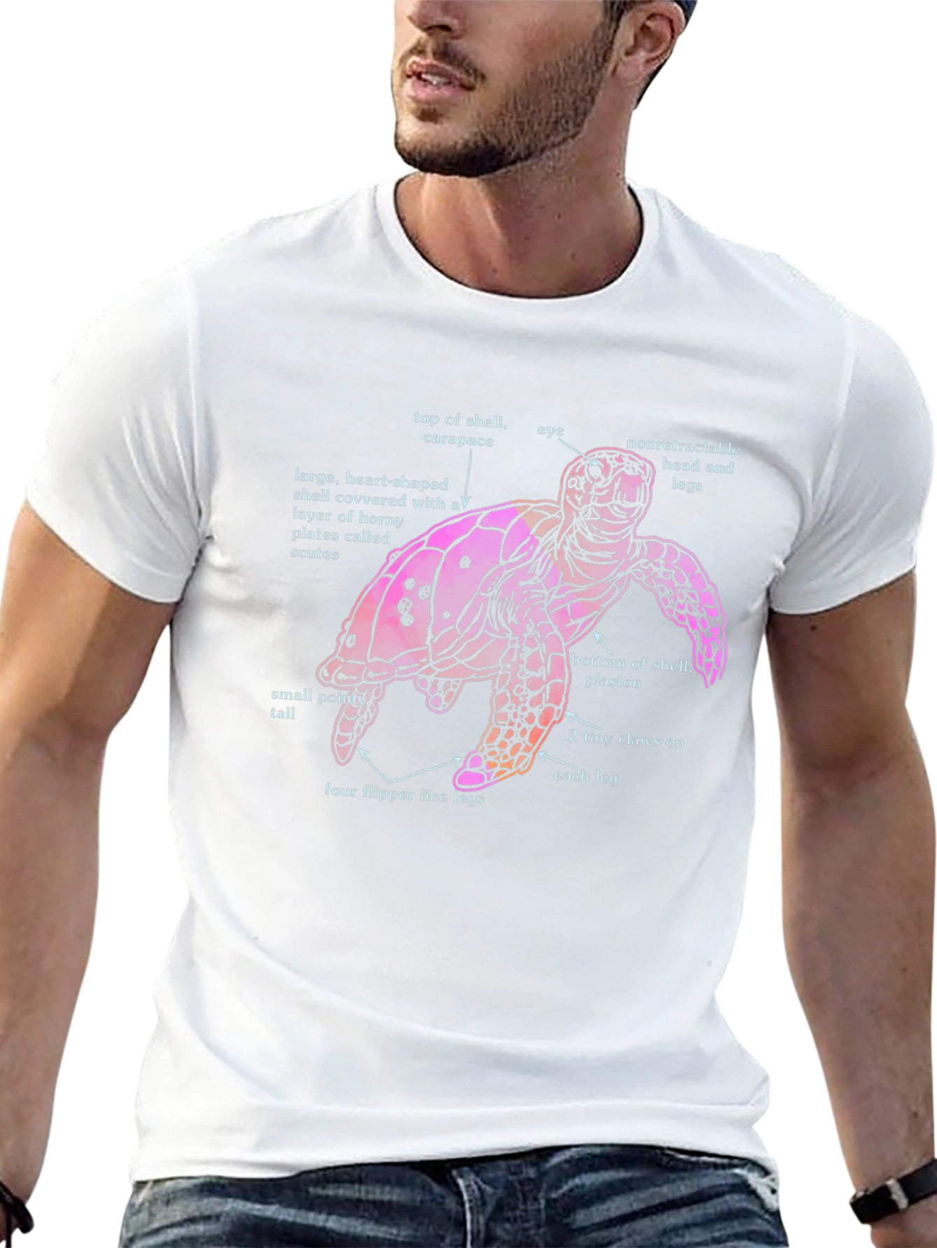Anatomical Turtle Graphic T-Shirt