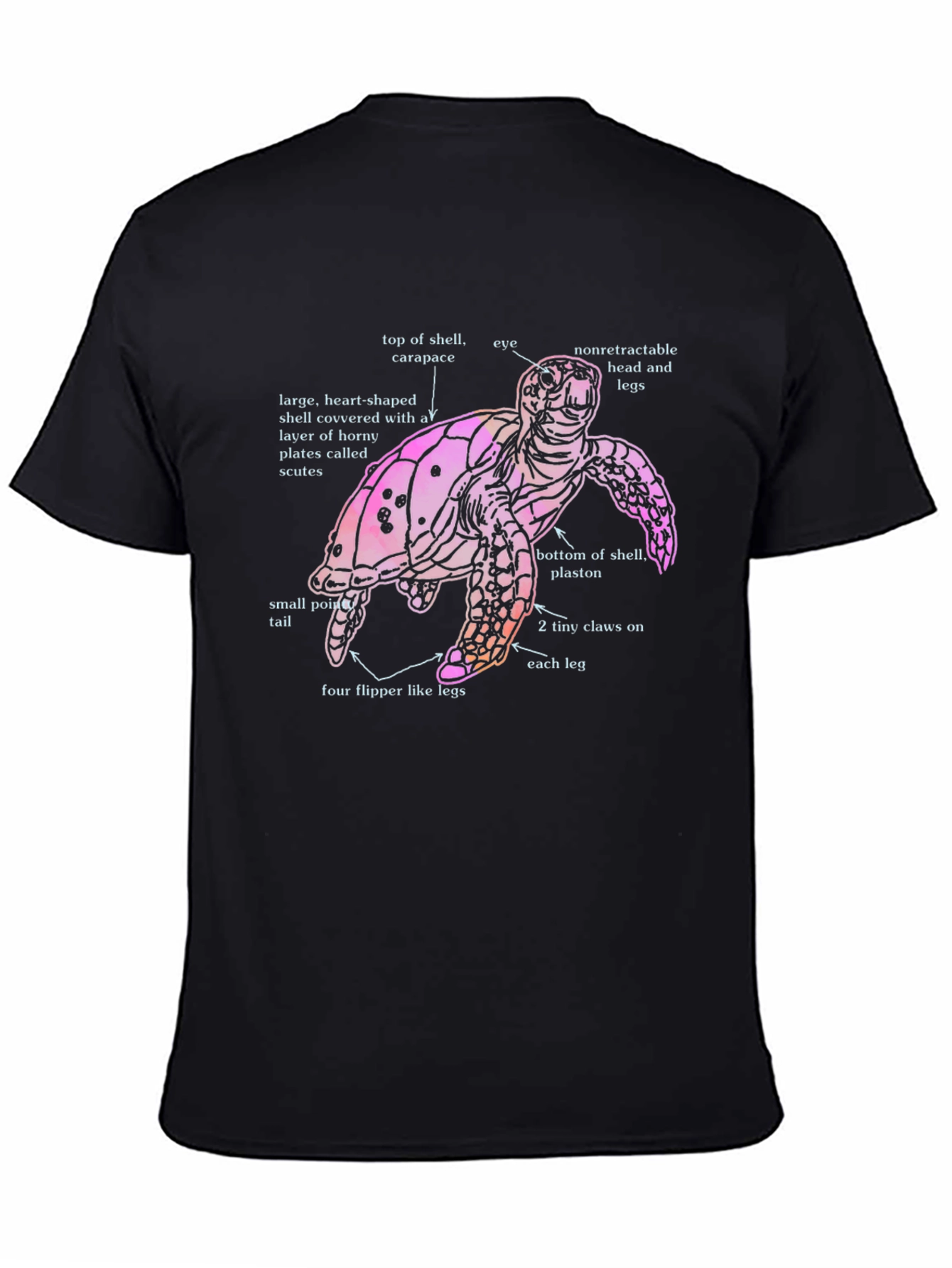 Anatomical Turtle Graphic T-Shirt