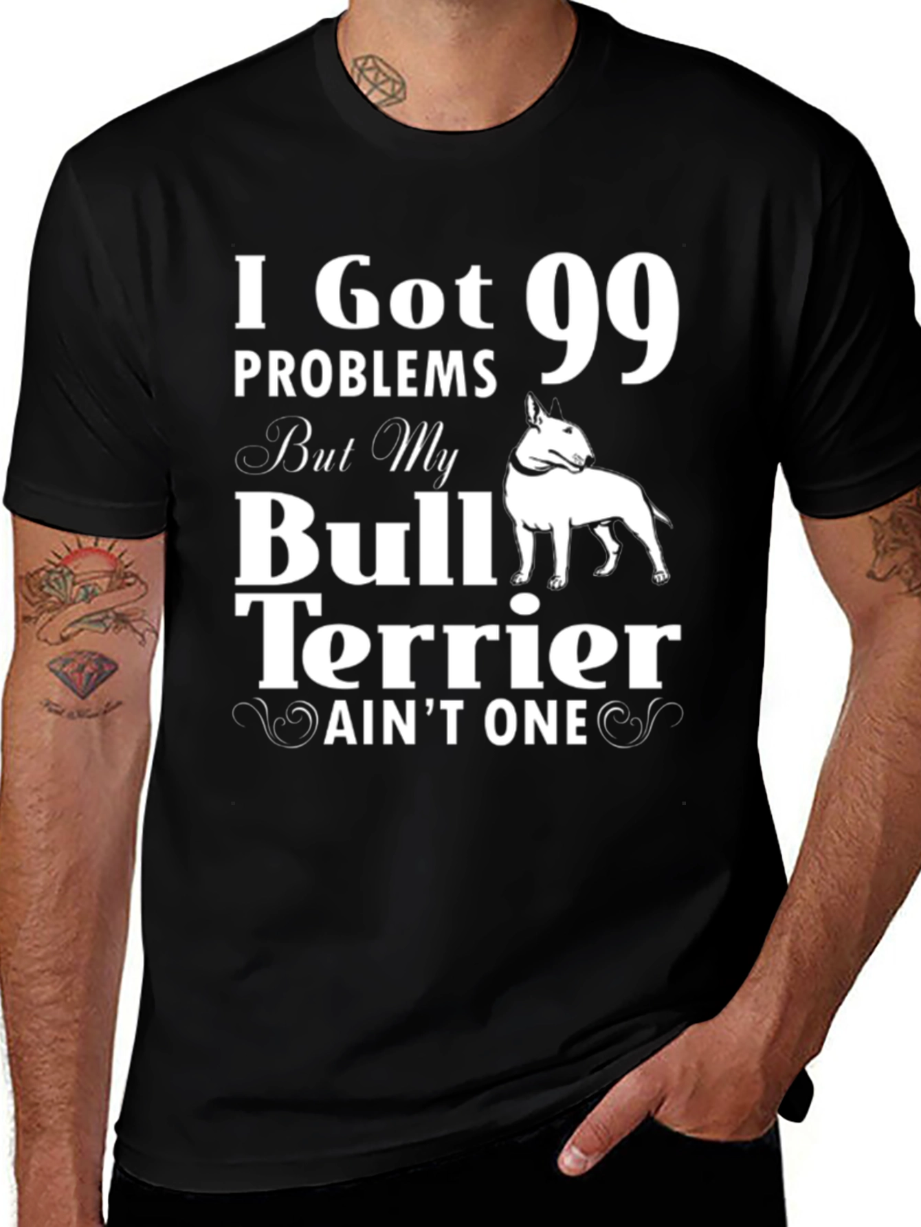 I Got 99 Problems Bull Terrier T-Shirt