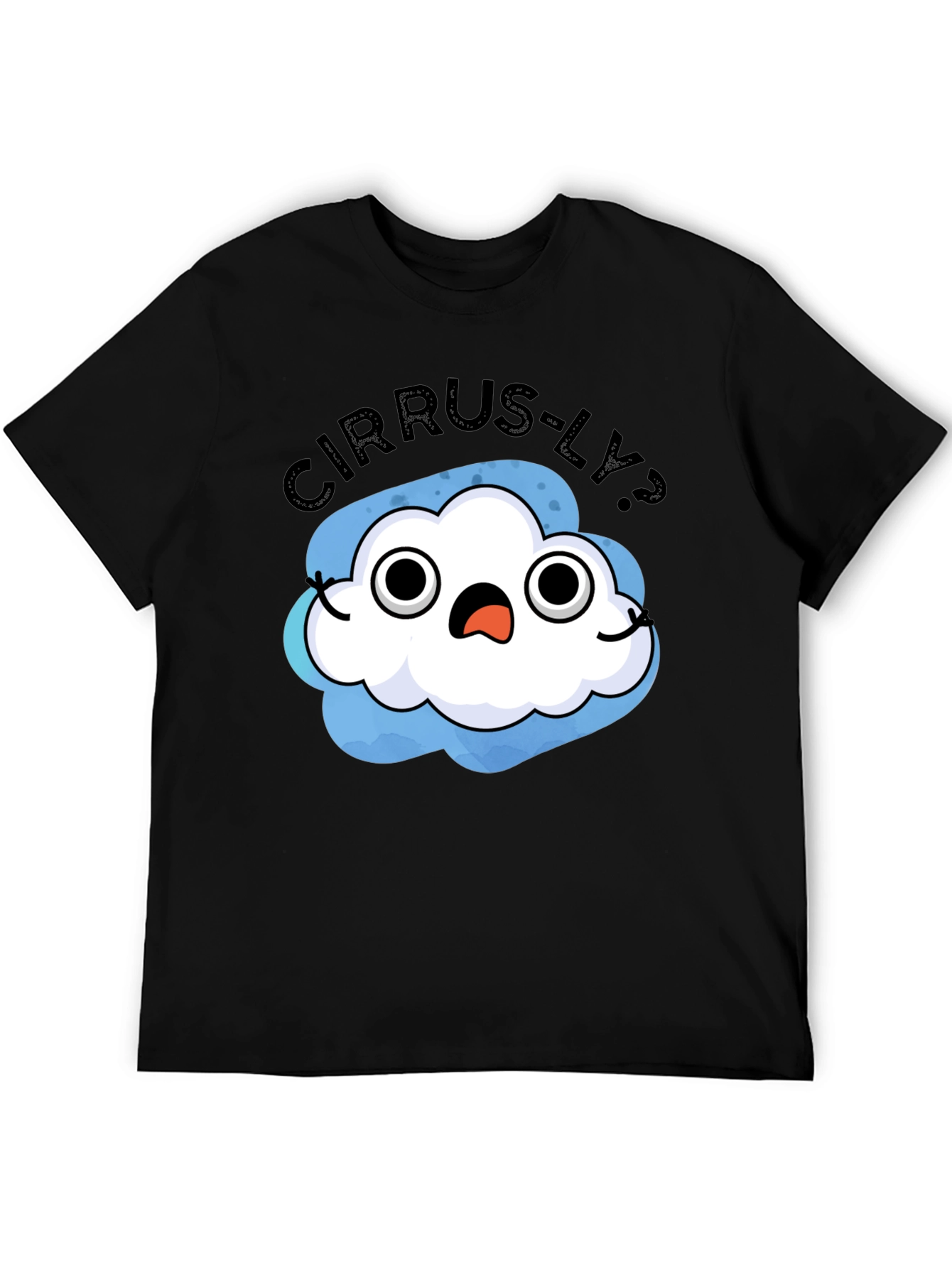 Cirrus-ly? T-Shirt - Humorous Weather Cloud Tee