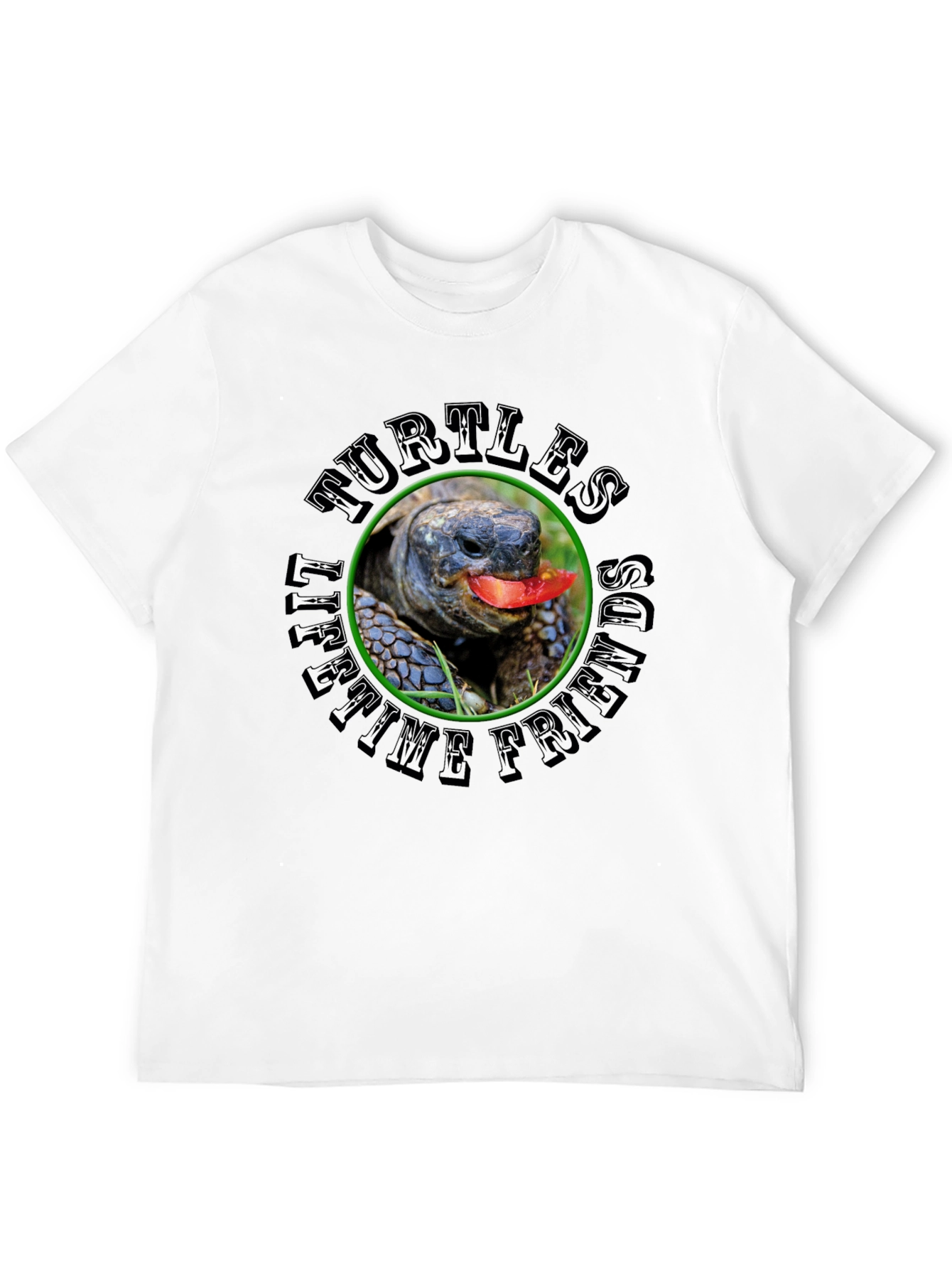 Turtles Lifetime Friends Black T-Shirt