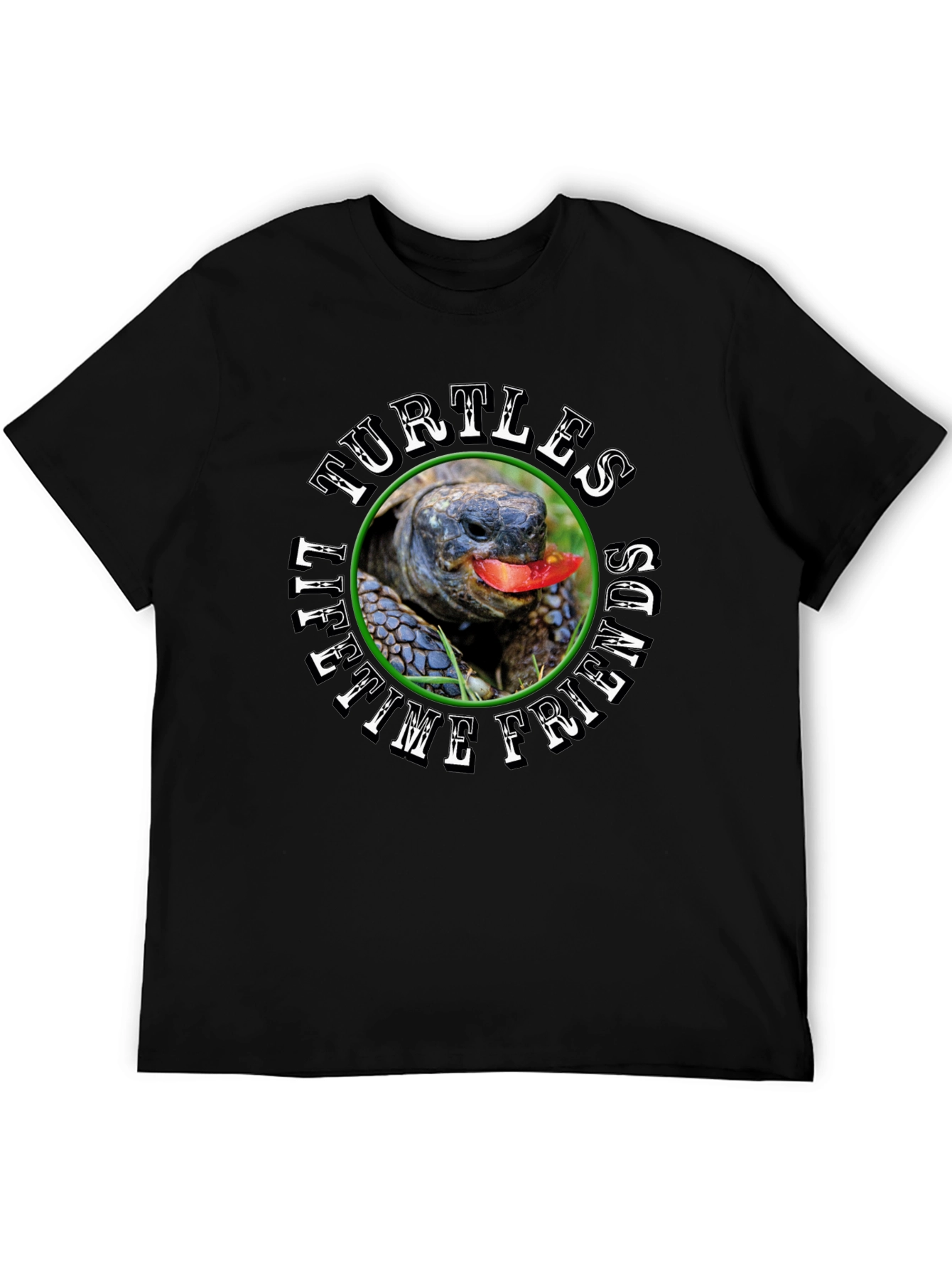 Turtles Lifetime Friends Black T-Shirt