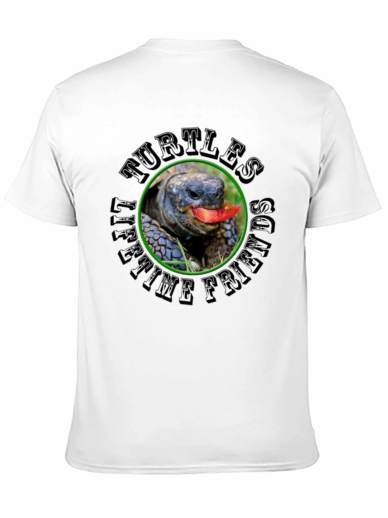 Turtles Lifetime Friends Black T-Shirt