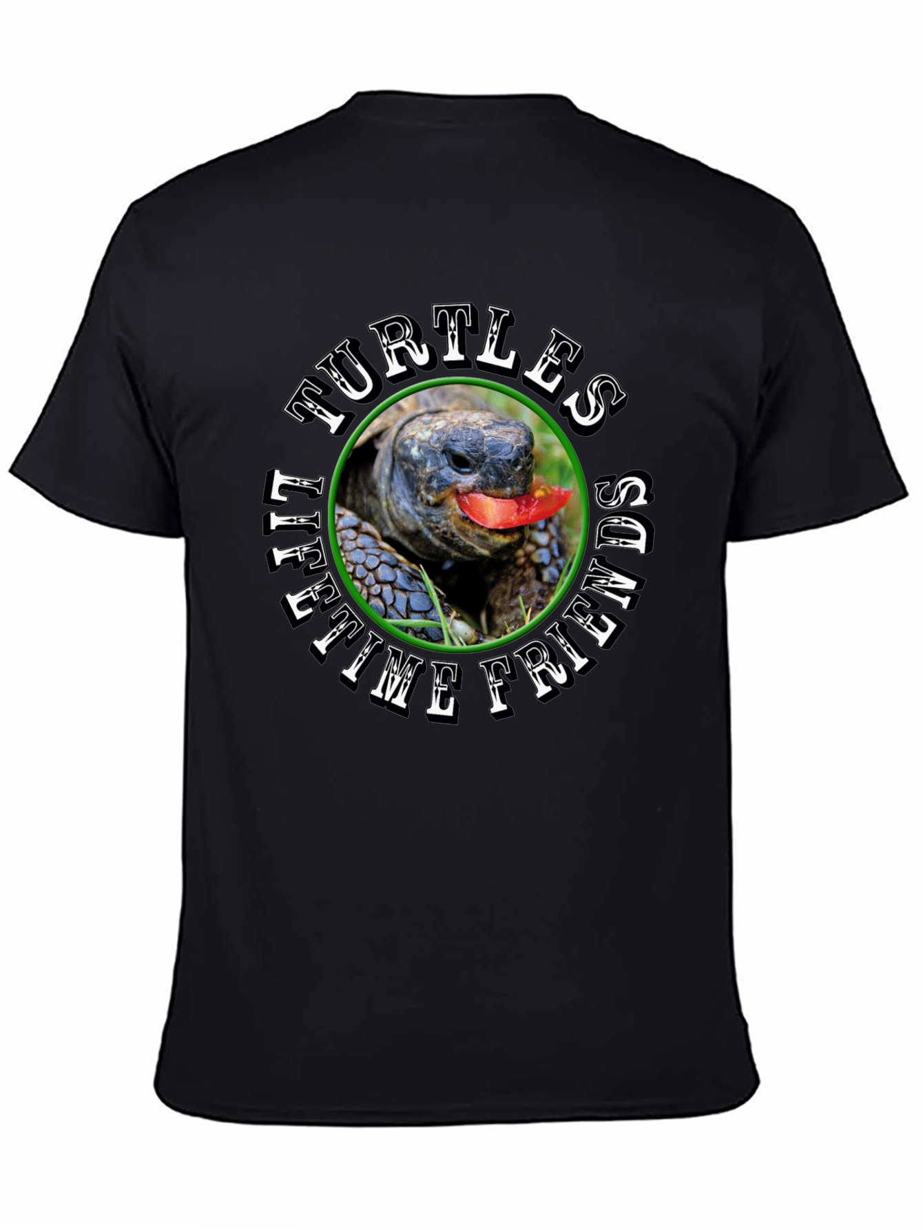 Turtles Lifetime Friends Black T-Shirt