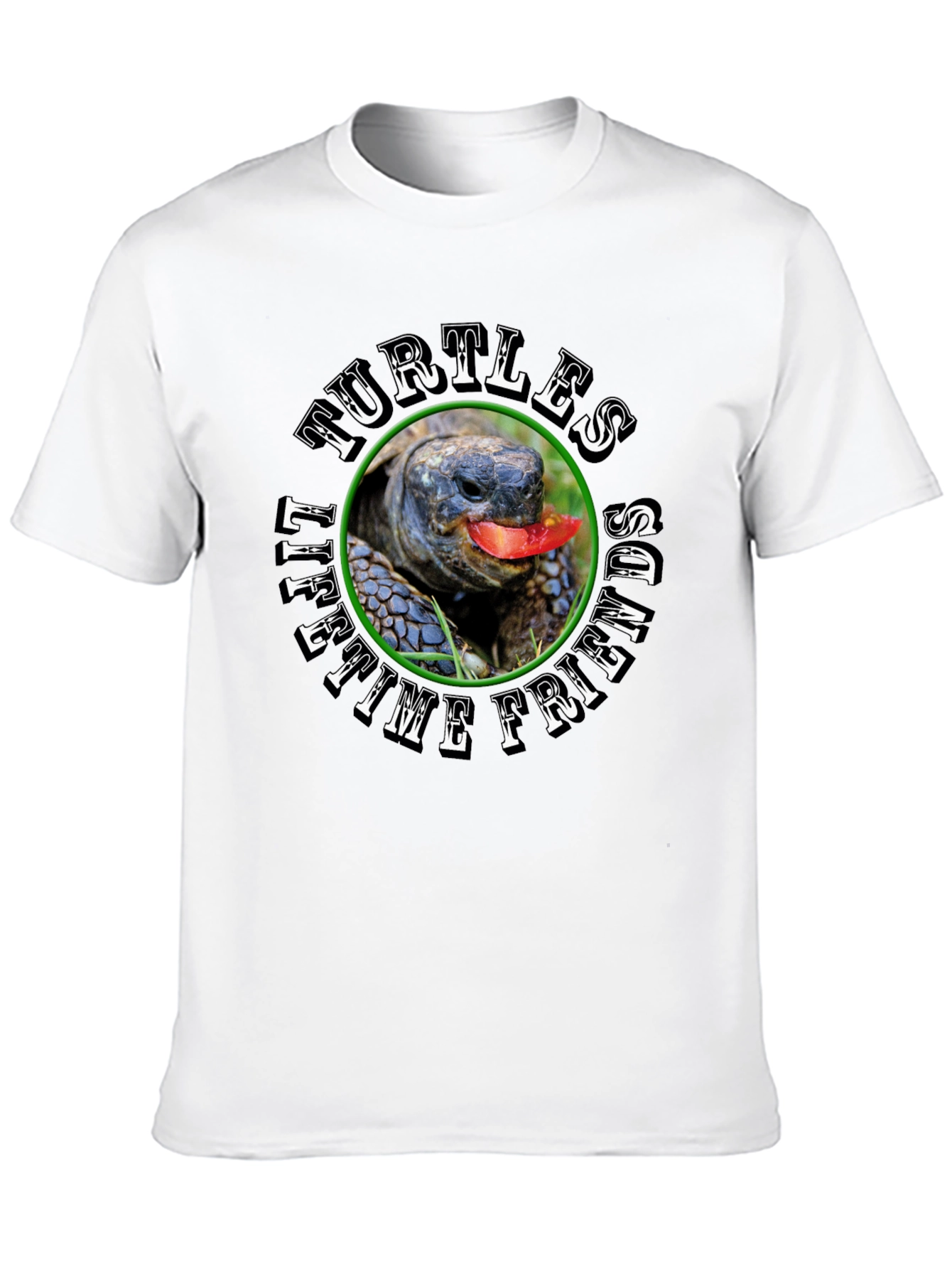 Turtles Lifetime Friends Black T-Shirt