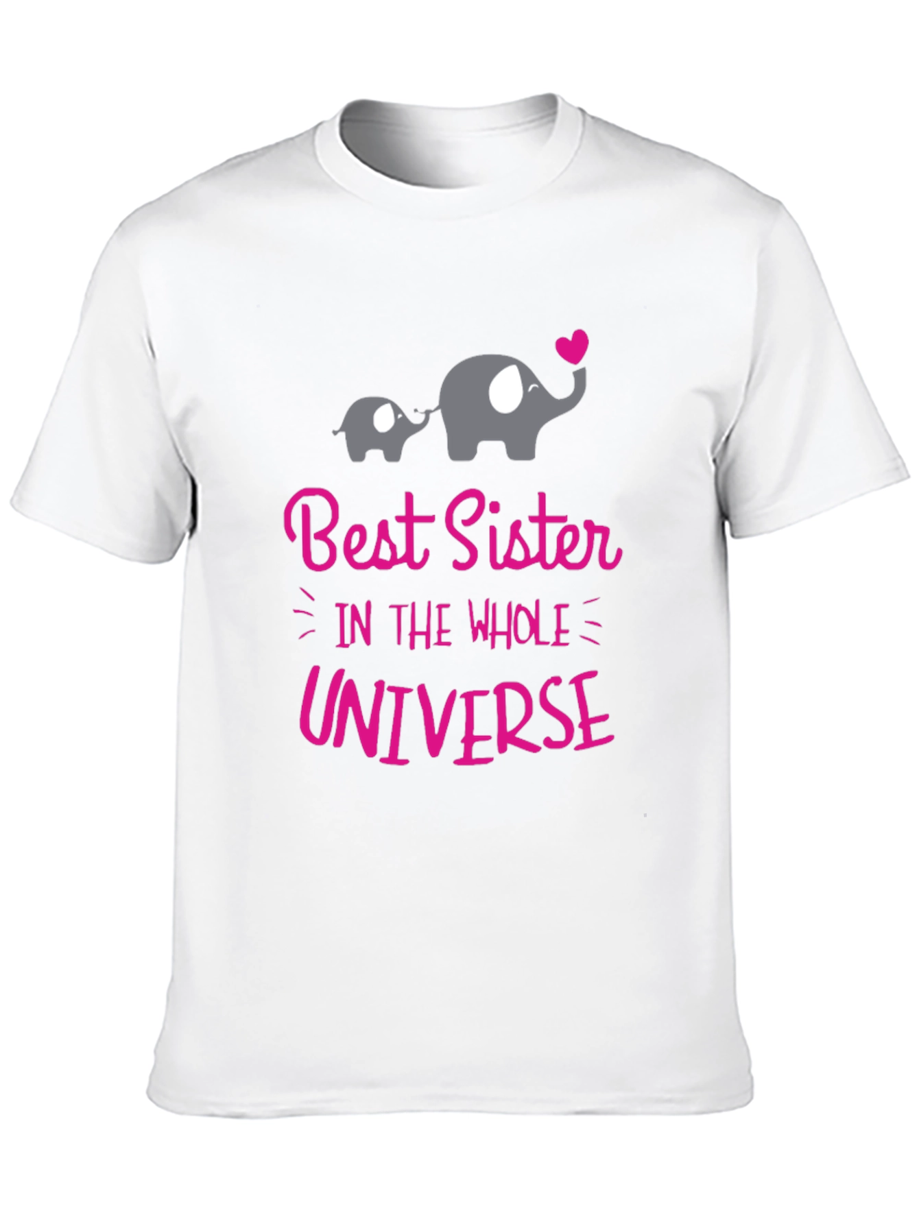 Best Sister in the Universe T-Shirt