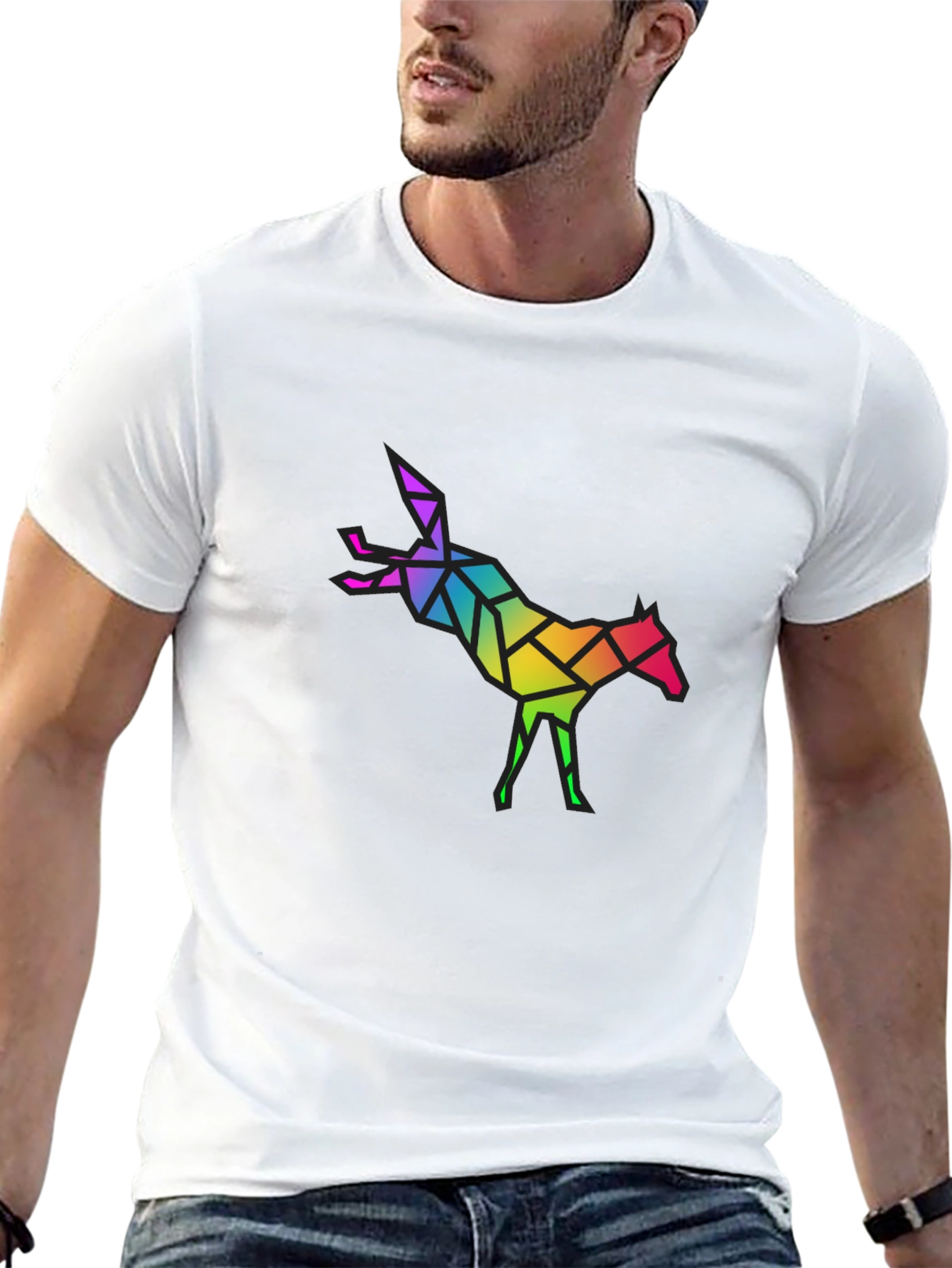 Geometric Rainbow Horse Graphic Tee