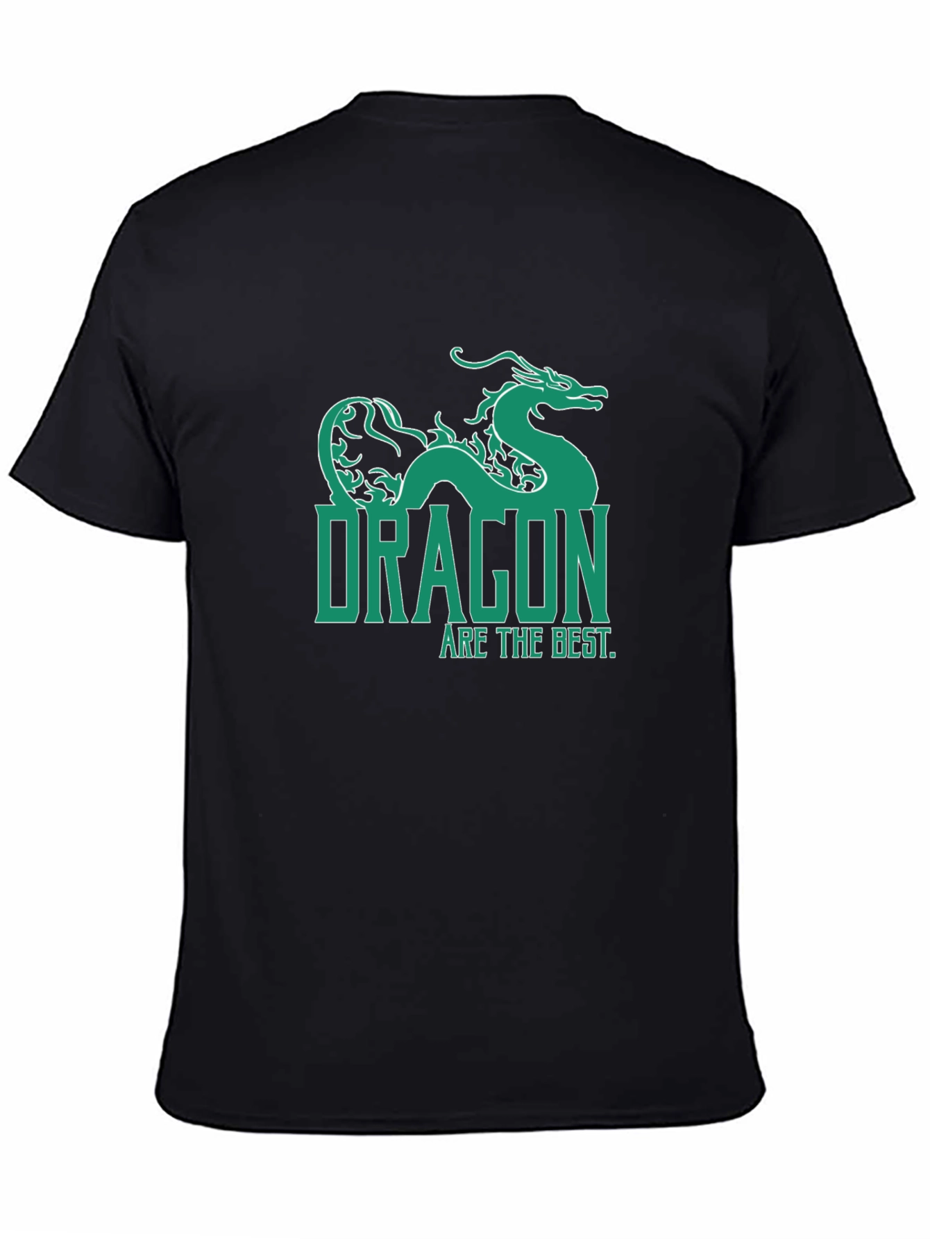 Dragon Are The Best Graphic T-Shirt