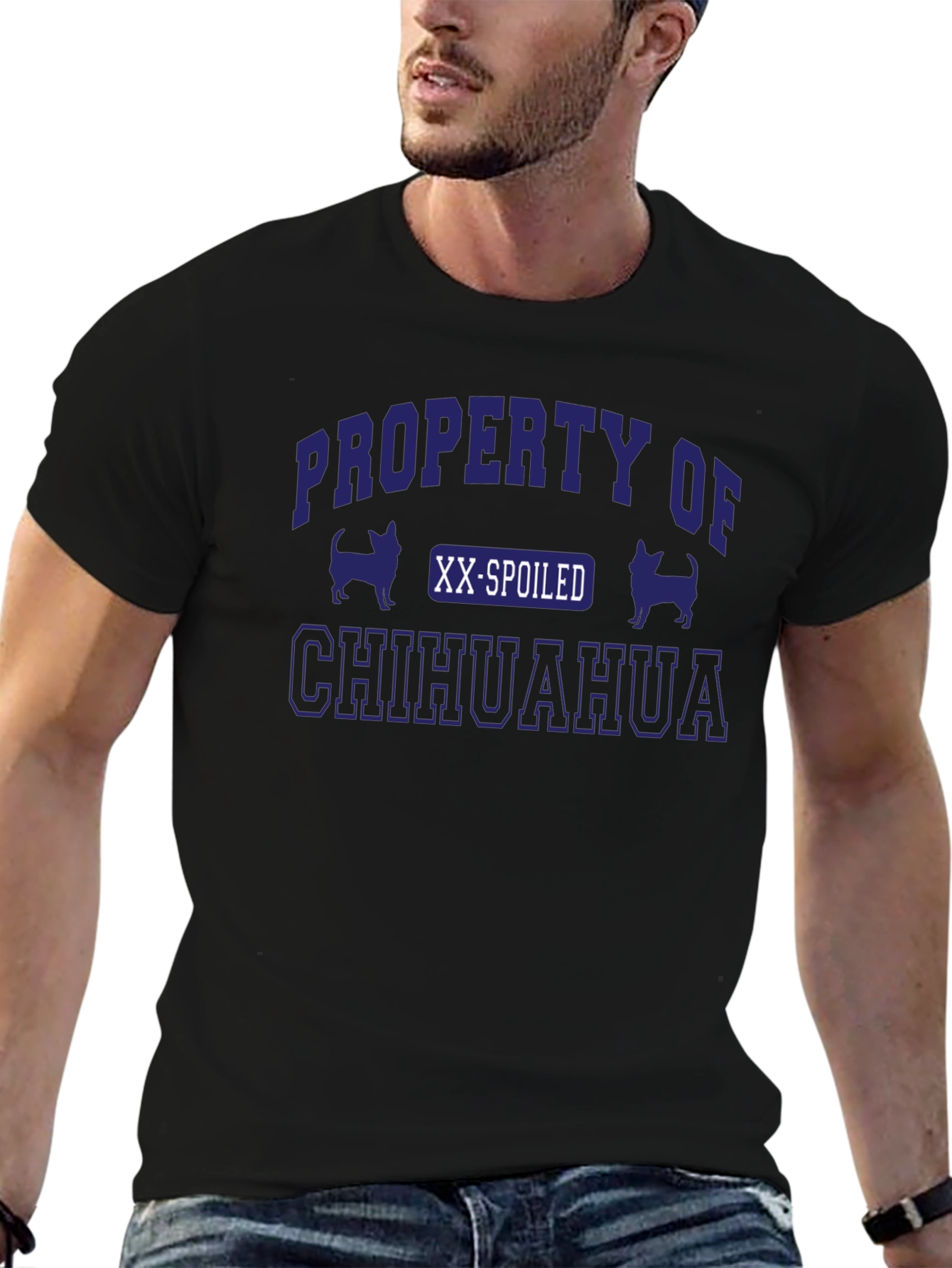 Property Of A Spoiled Chihuahua T-Shirt
