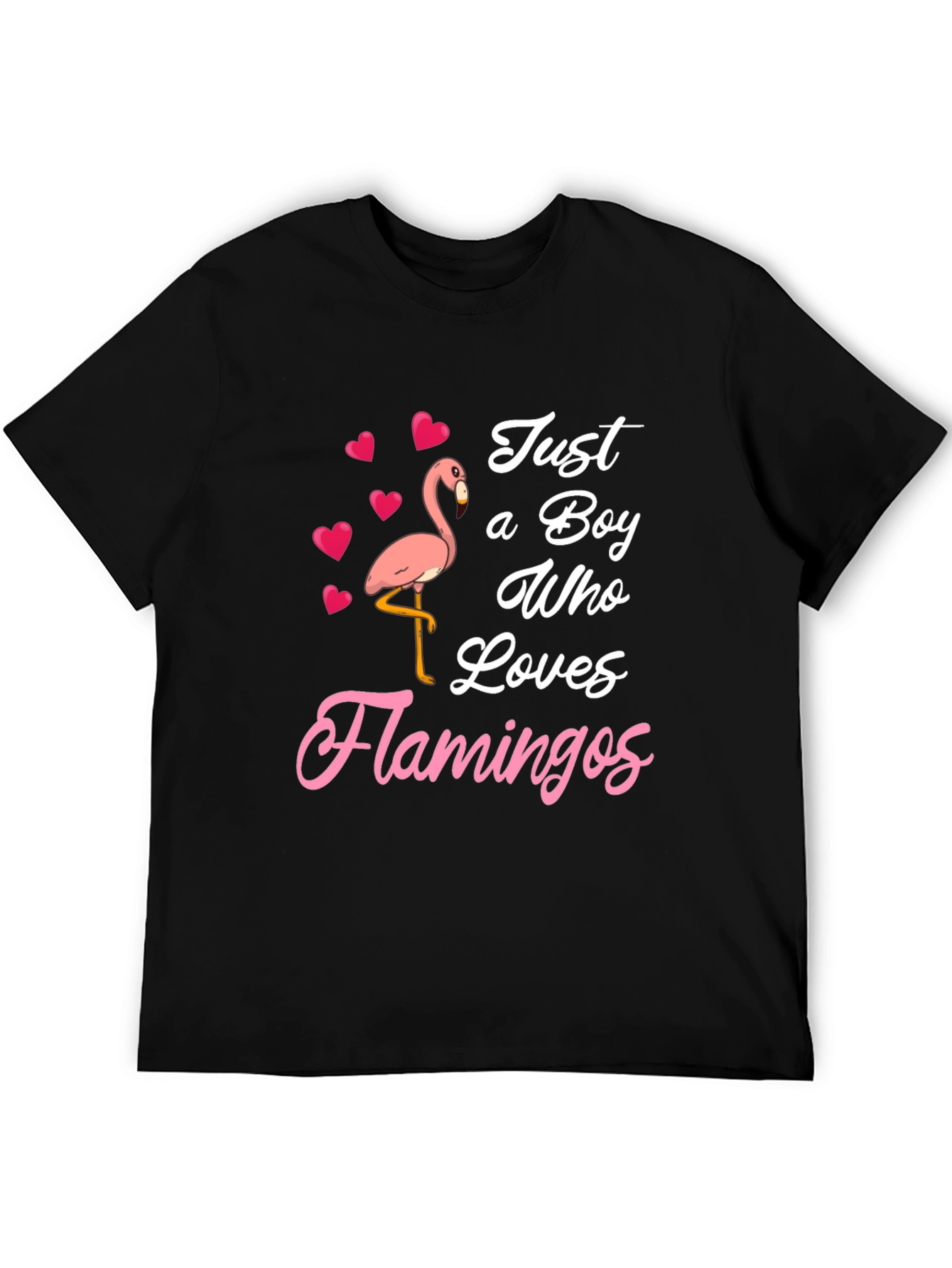 Just A Boy Who Loves Flamingos T-Shirt