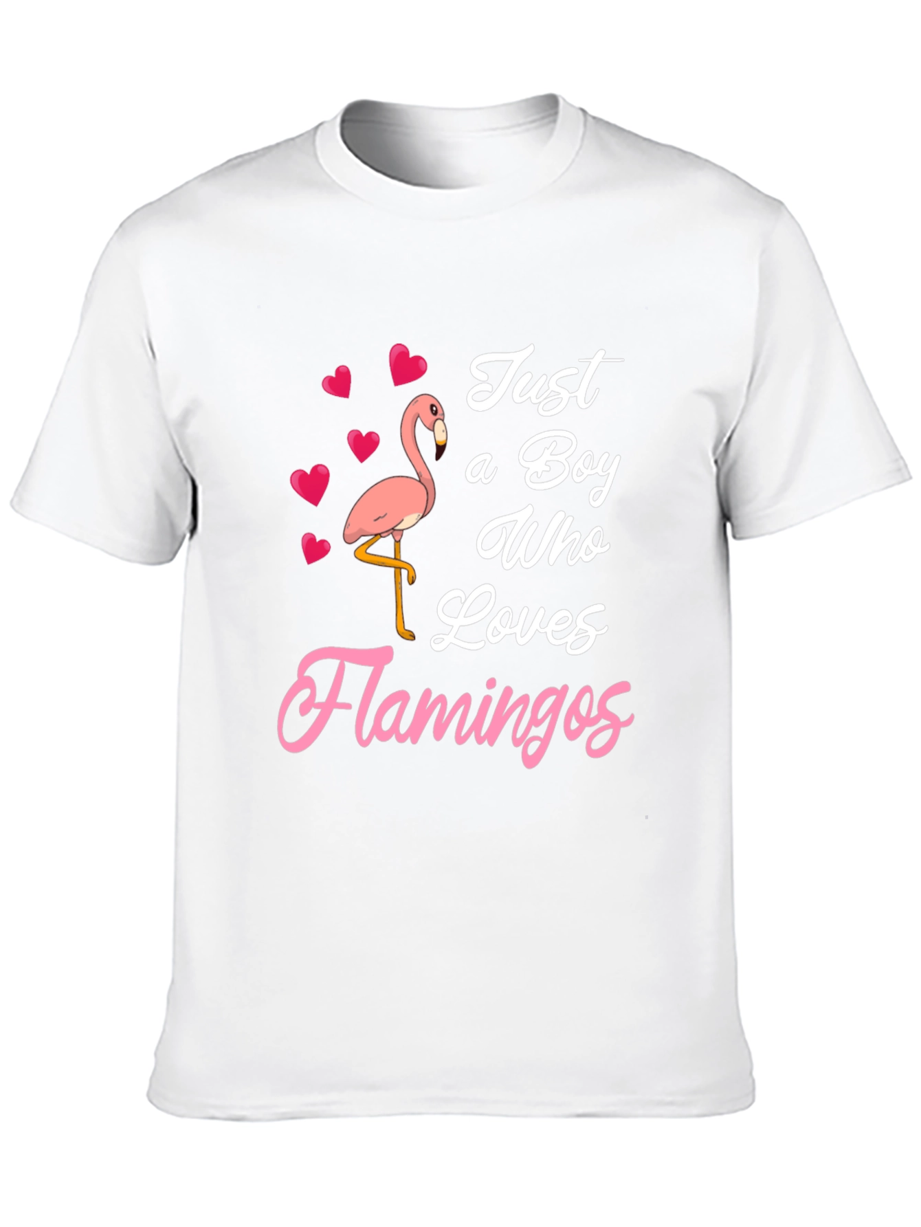 Just A Boy Who Loves Flamingos T-Shirt