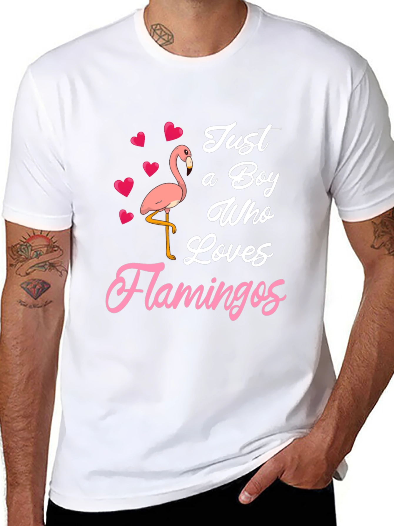 Just A Boy Who Loves Flamingos T-Shirt