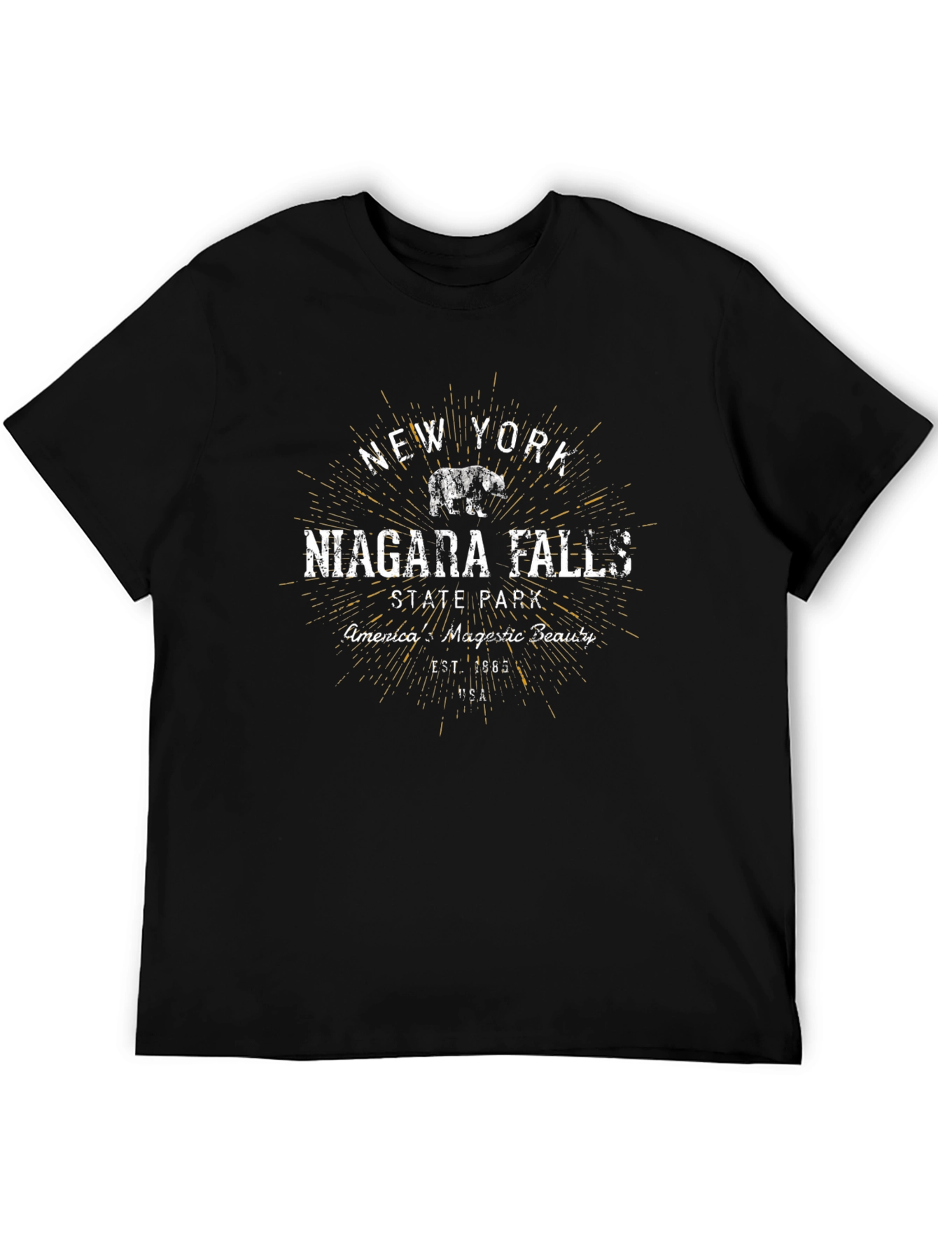 Niagara Falls State Park Black T-Shirt