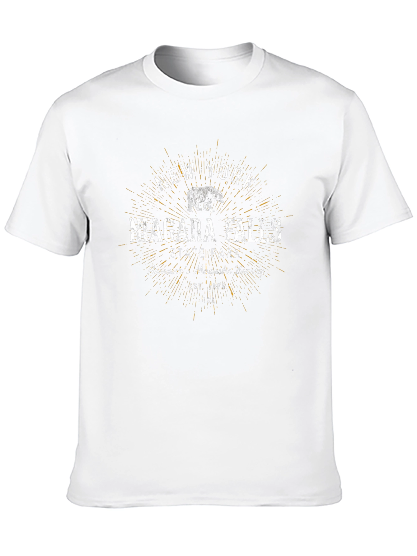 Niagara Falls State Park Black T-Shirt