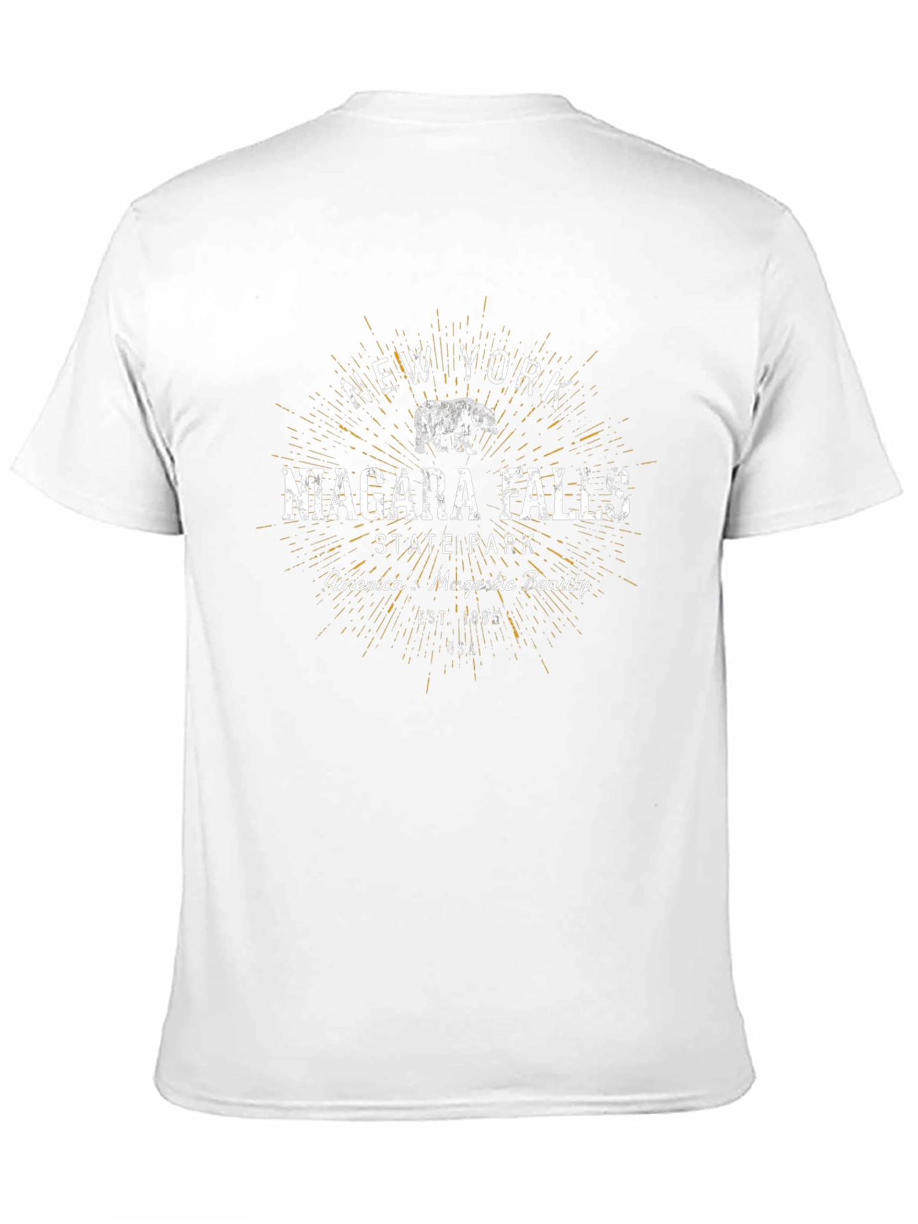 Niagara Falls State Park Black T-Shirt