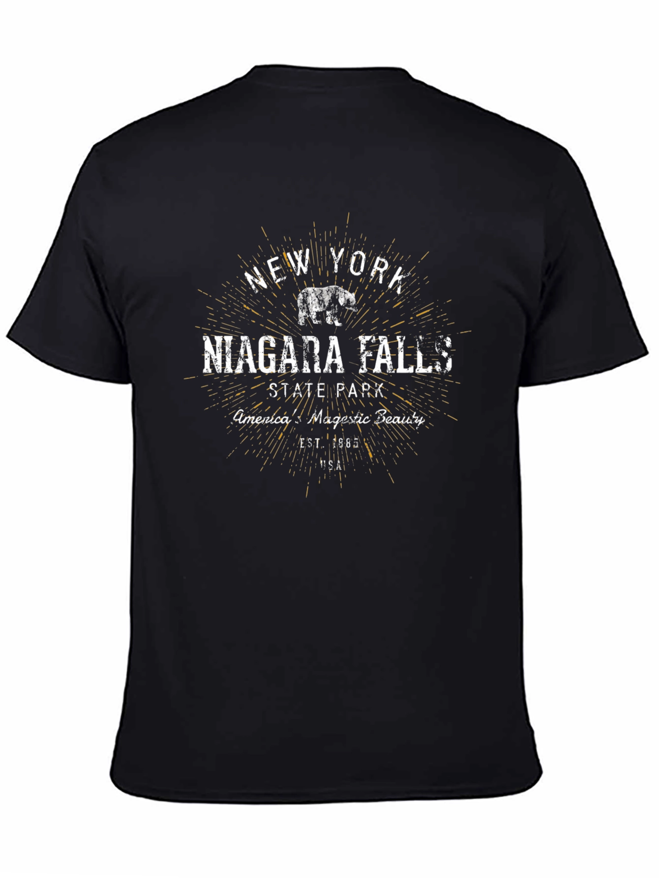 Niagara Falls State Park Black T-Shirt