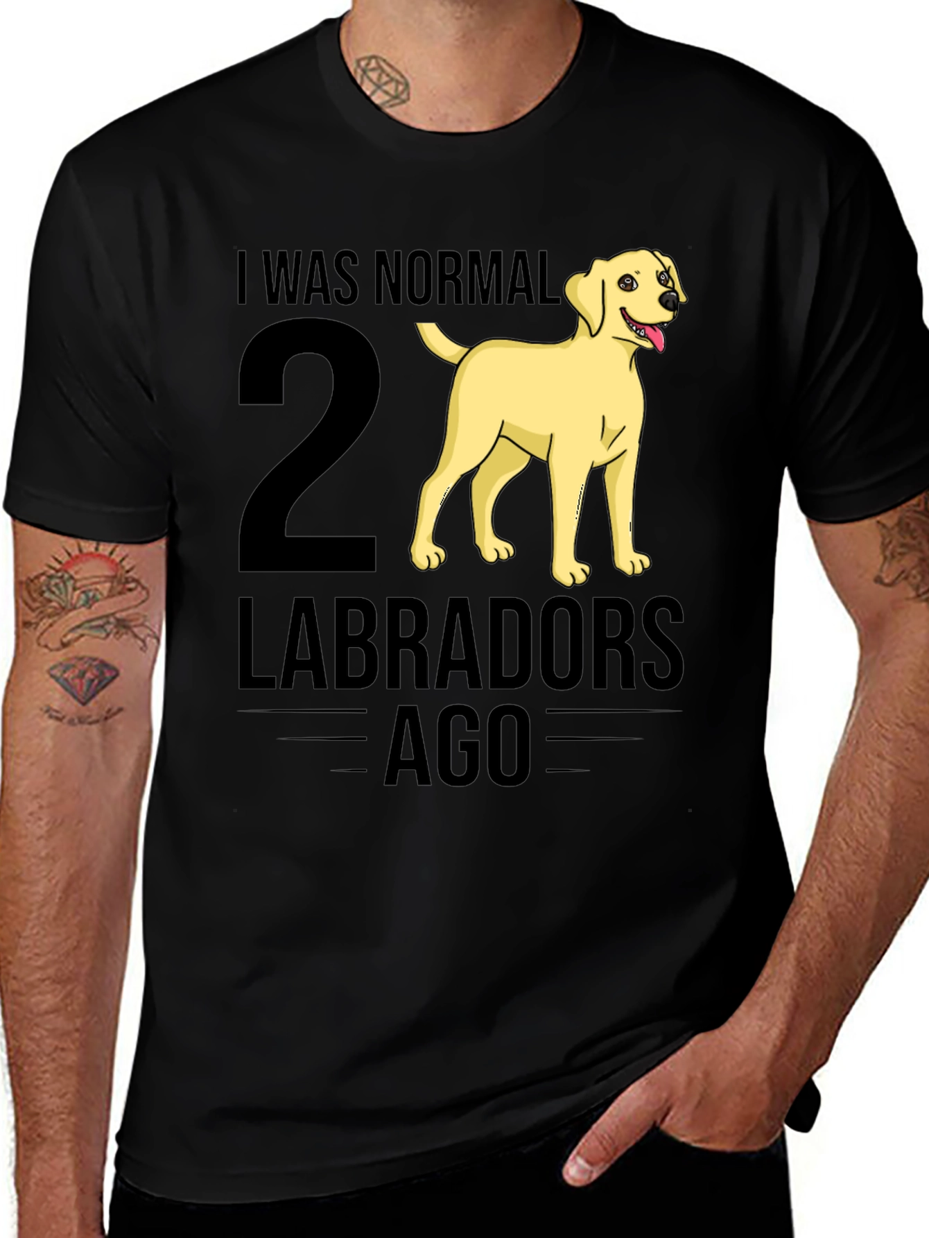 I Was Normal 2 Labradors Ago T-Shirt