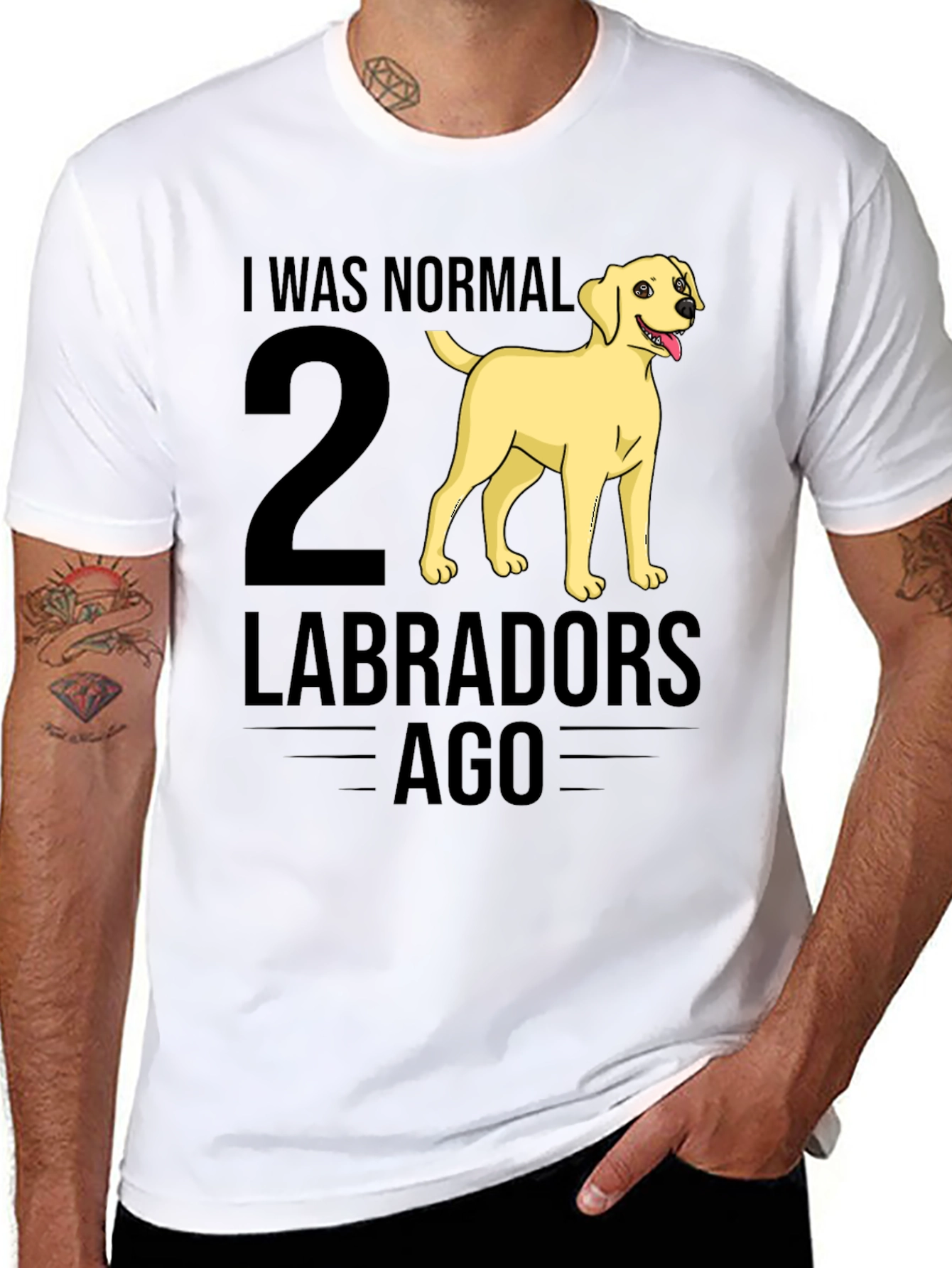 I Was Normal 2 Labradors Ago T-Shirt