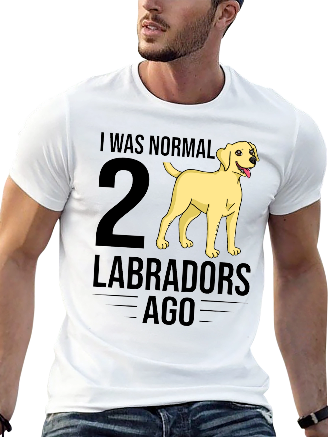 I Was Normal 2 Labradors Ago T-Shirt