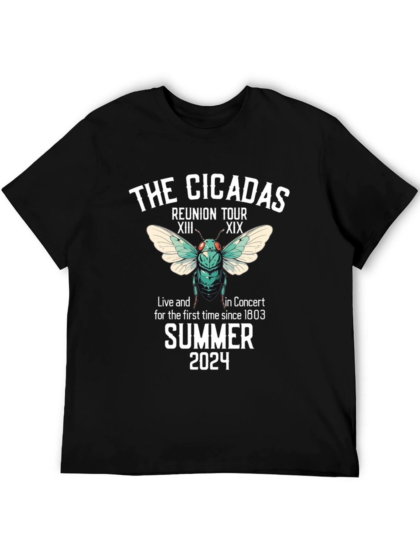 Cicadas Reunion Tour 2024 Black T-Shirt