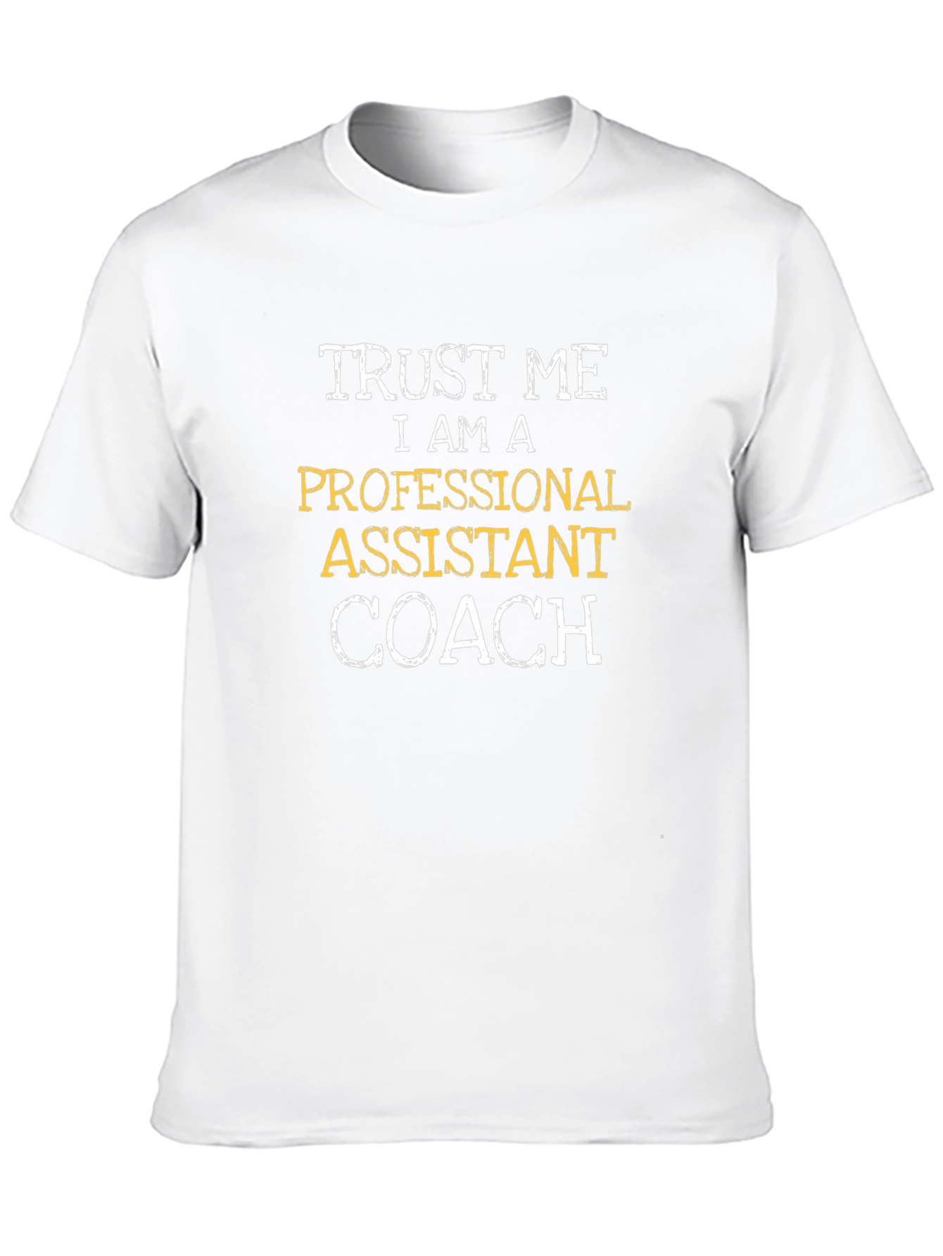 Professional Assistant Coach Graphic Tee