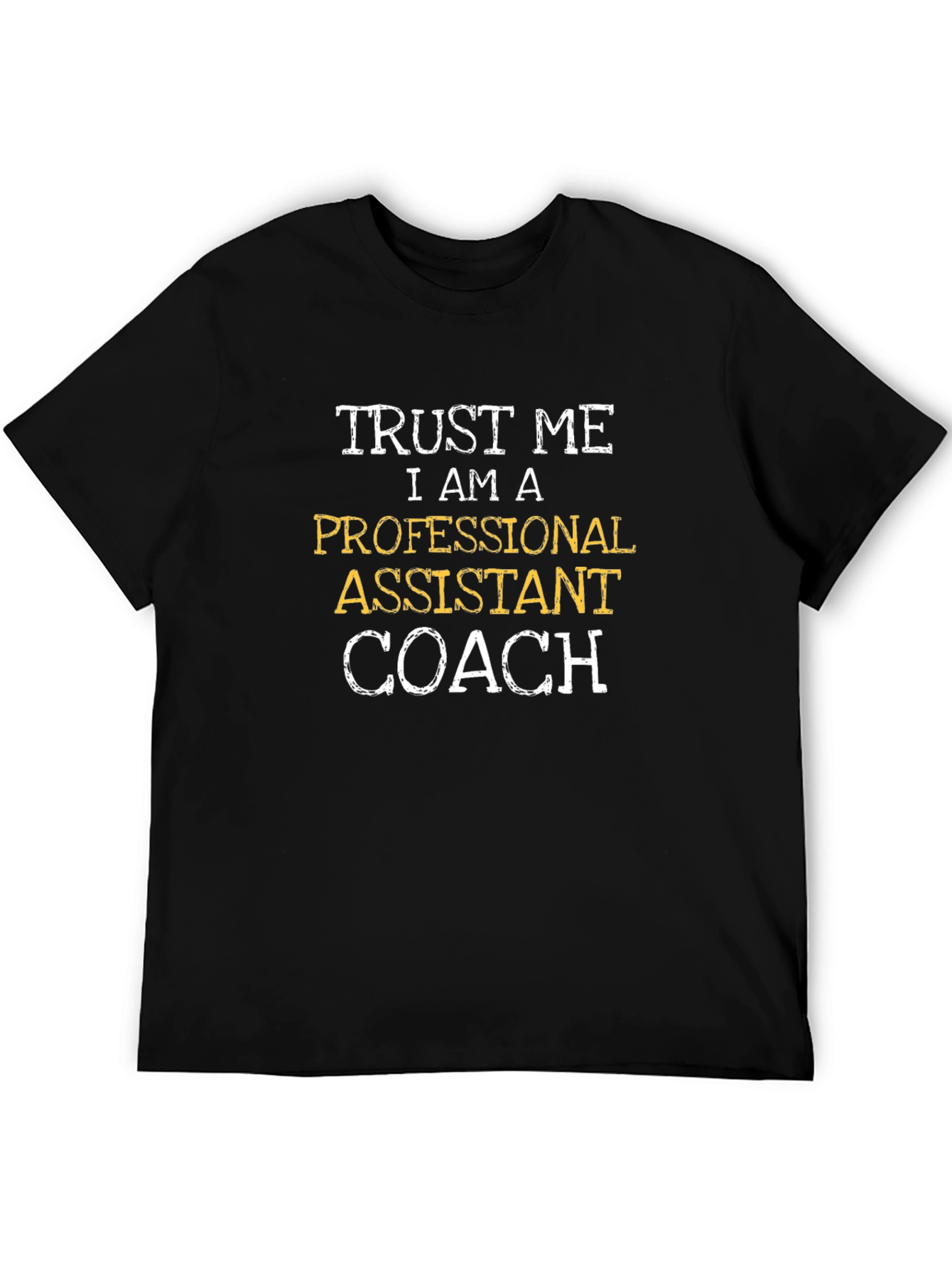 Professional Assistant Coach Graphic Tee