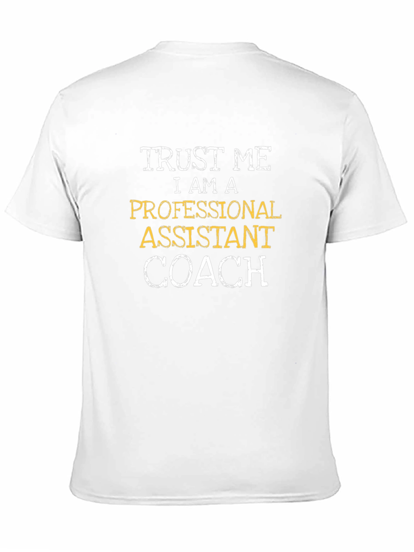 Professional Assistant Coach Graphic Tee