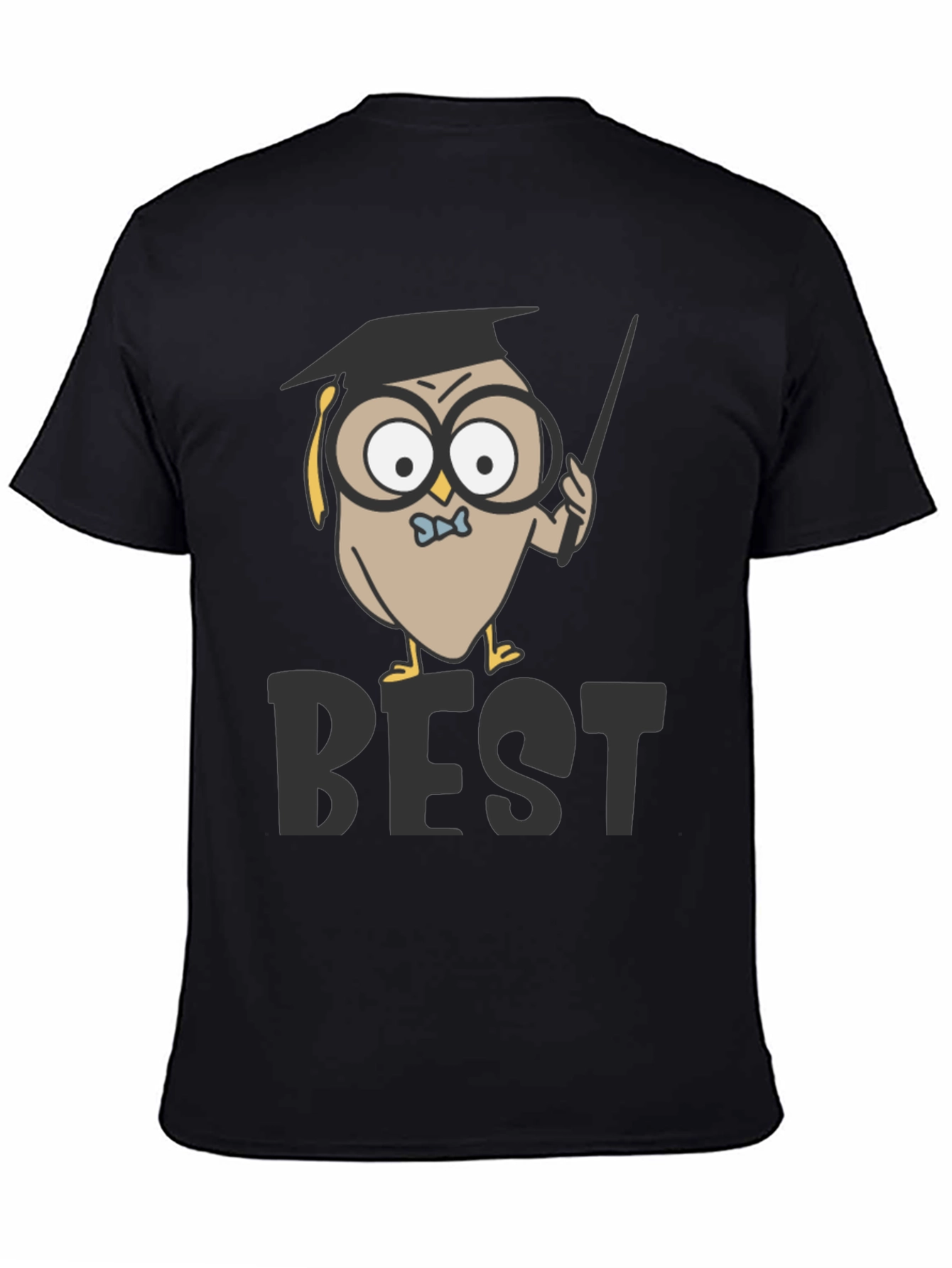 Owl Professor T-Shirt - Best Teacher Award