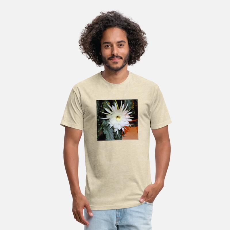 Baby Jesus Cactus Blooming - 1