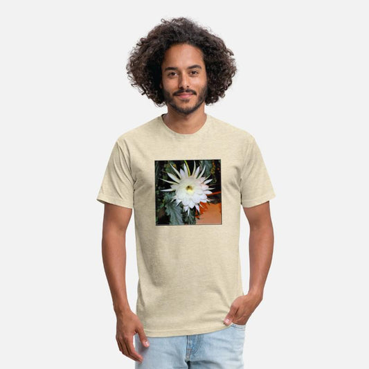 Baby Jesus Cactus Blooming - 1