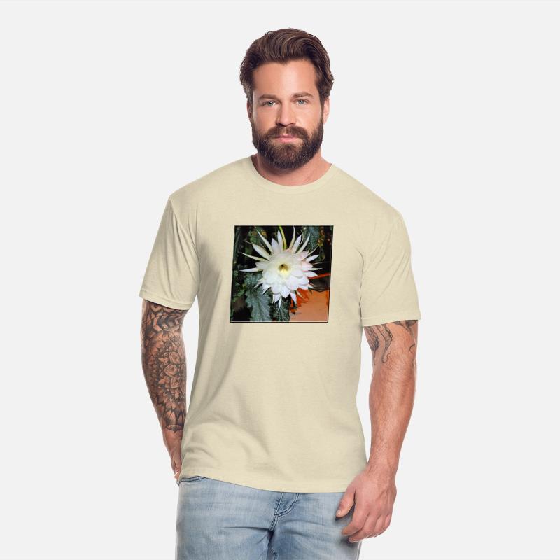 Baby Jesus Cactus Blooming - 1