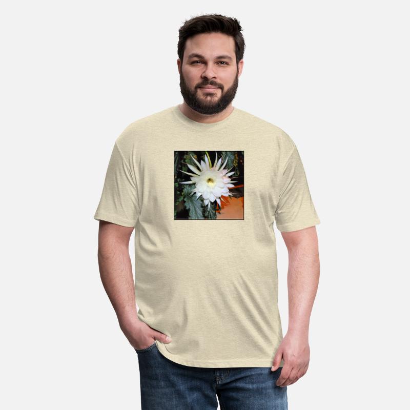 Baby Jesus Cactus Blooming - 1