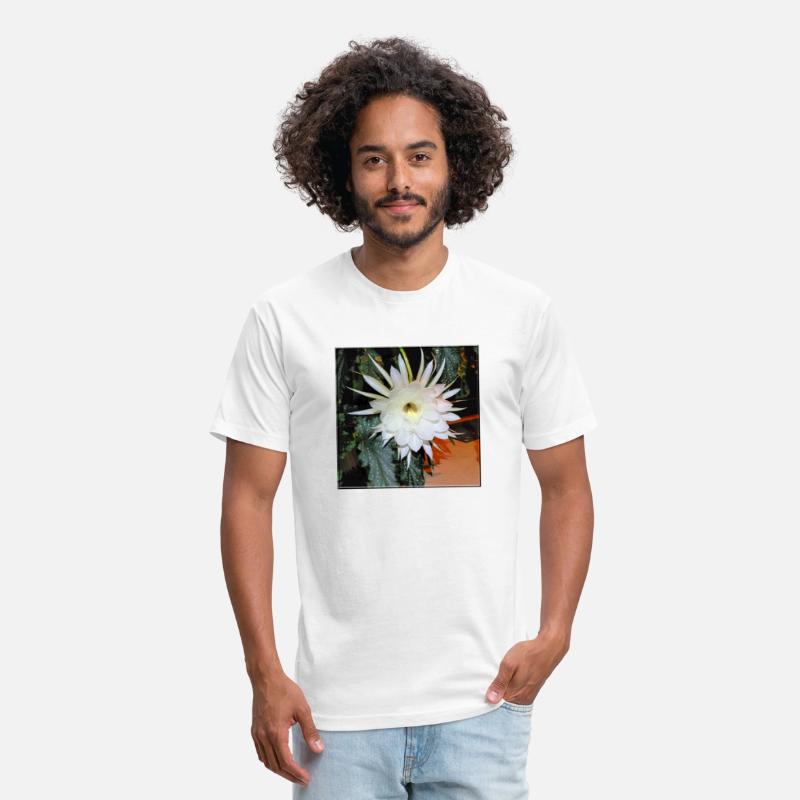 Baby Jesus Cactus Blooming - 1