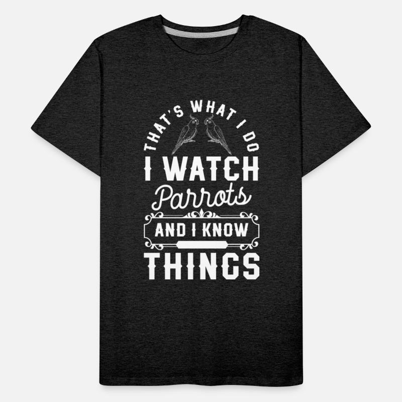 Bird Feather Beak Species