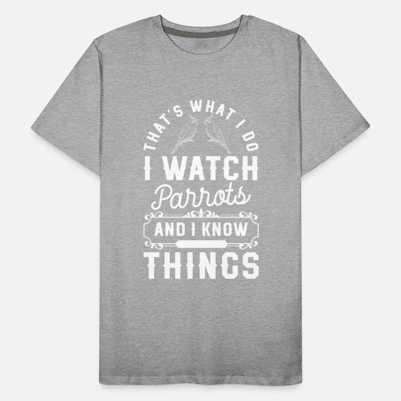 Bird Feather Beak Species