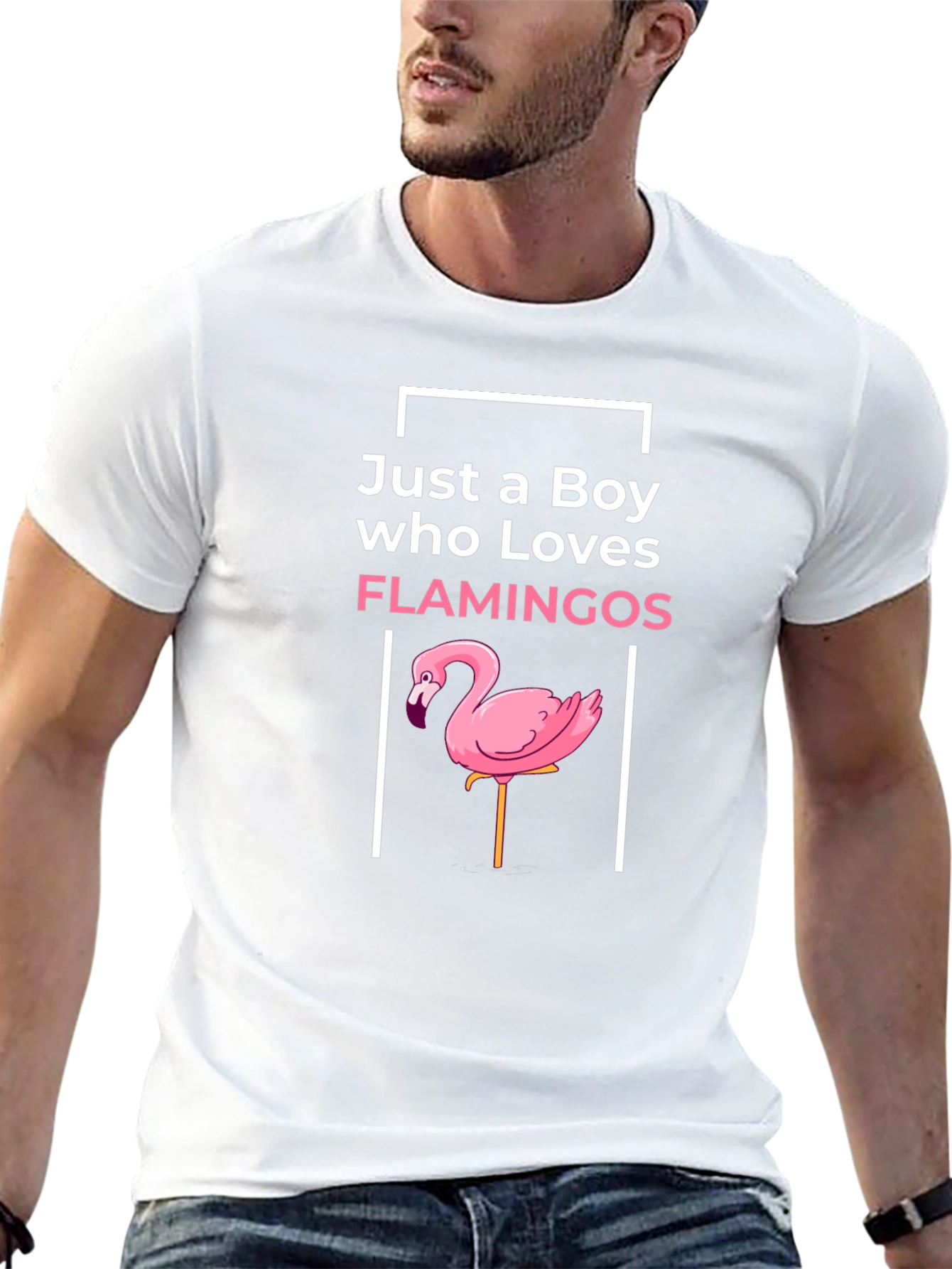 Boy Who Loves Flamingos Graphic Tee