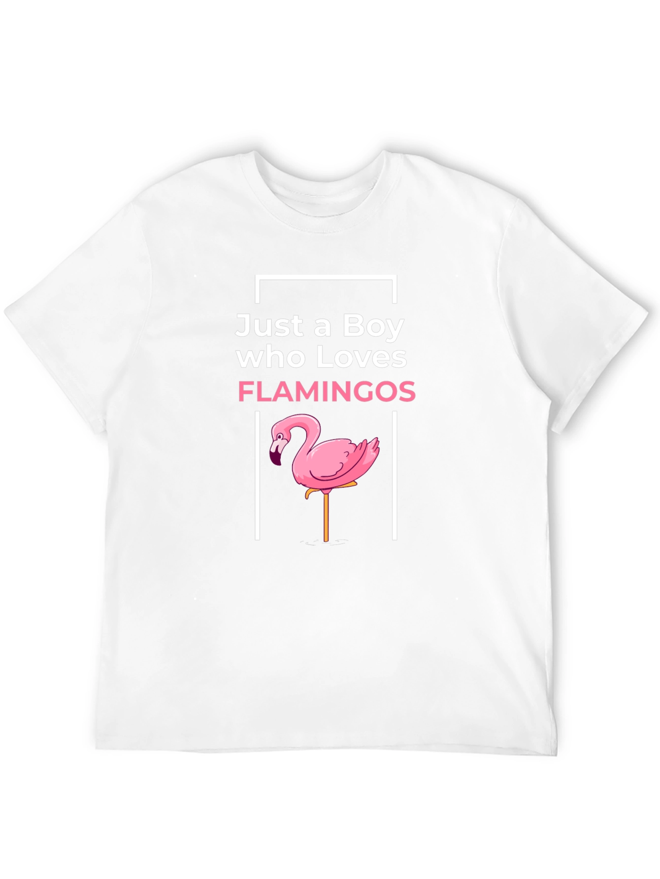 Boy Who Loves Flamingos Graphic Tee
