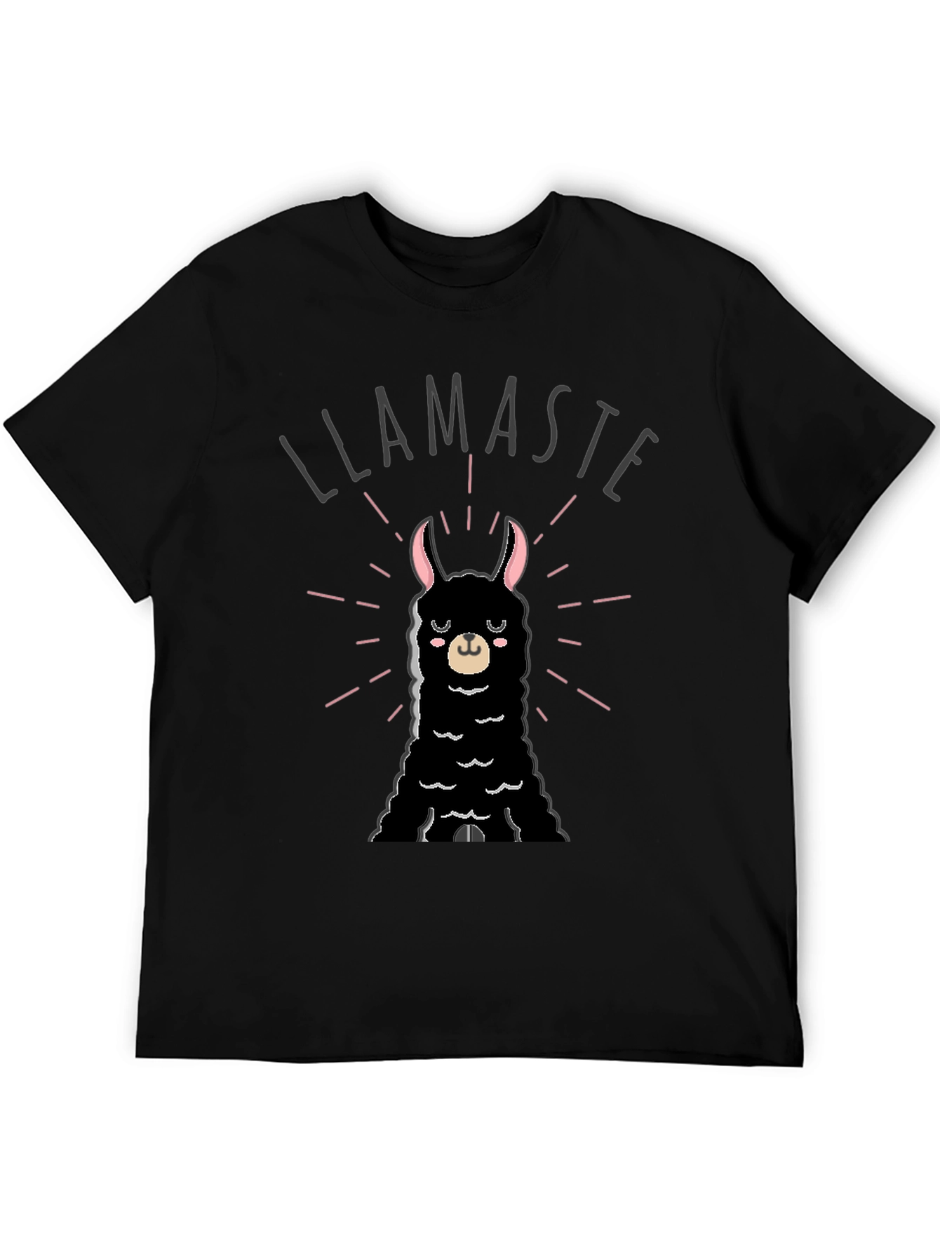 Llamaste T-Shirt - Funny Llama Graphic Tee