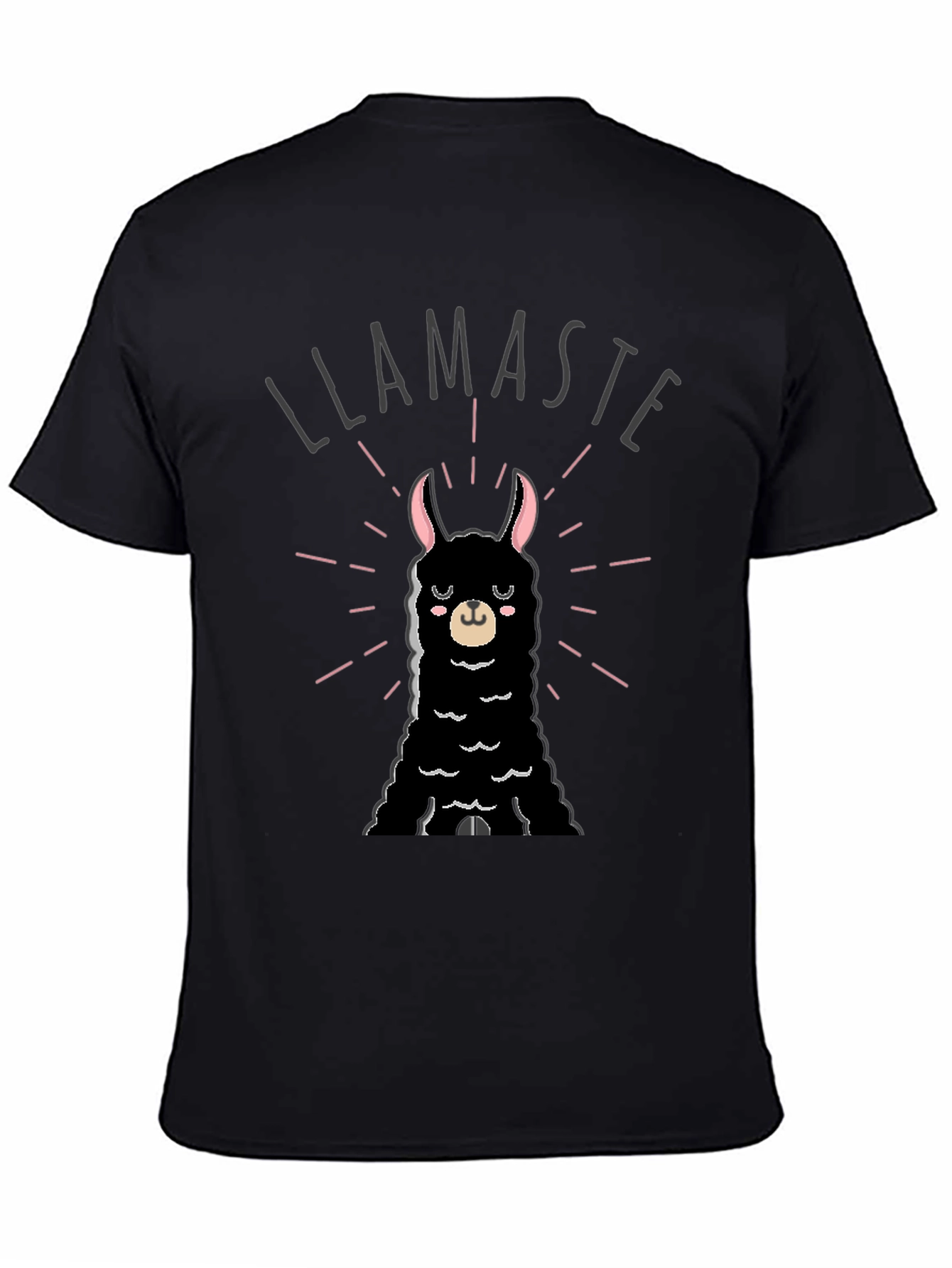 Llamaste T-Shirt - Funny Llama Graphic Tee