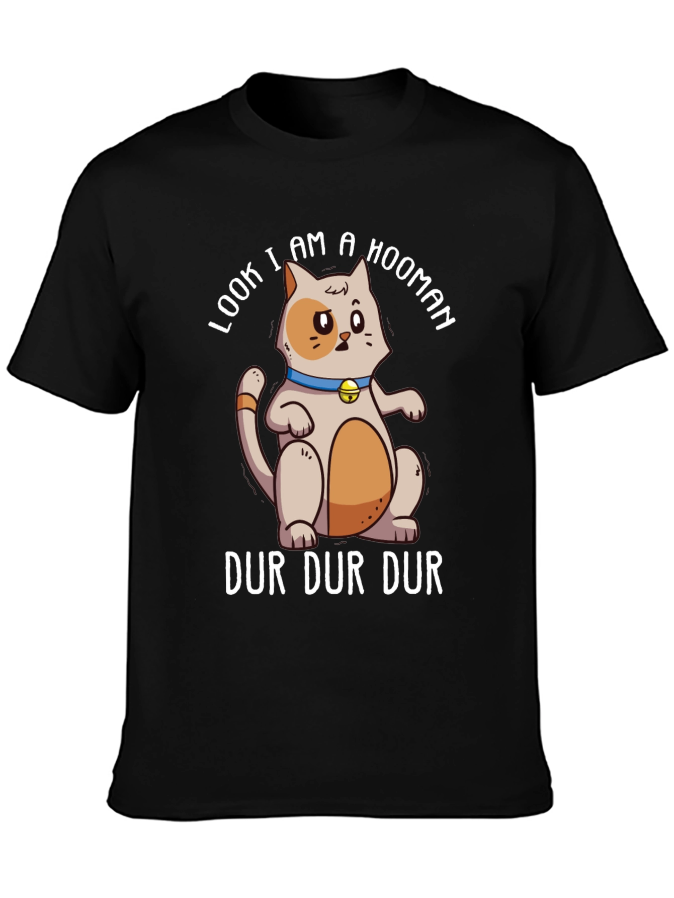 Funny Cat Hooman Graphic Tee