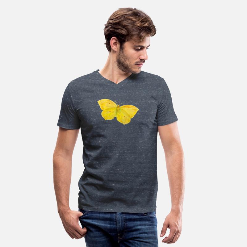 Common Brimstone, Gonepteryx rhamni Butterfly