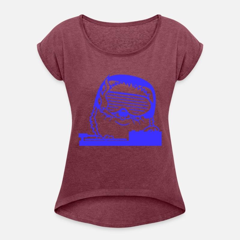 DJ Hedgehog Sunglasses Mixing Music Record Party