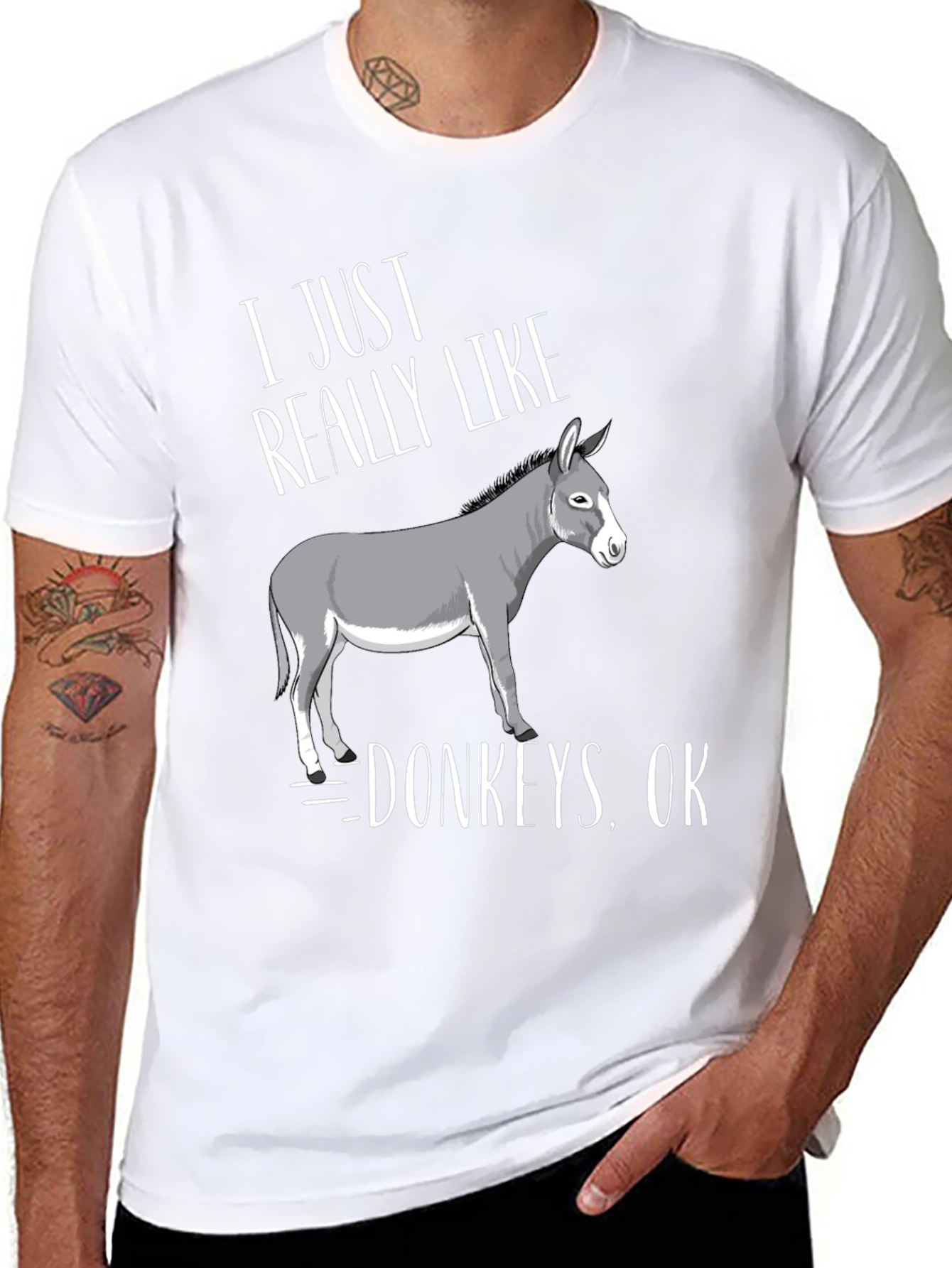 I Just Really Like Donkeys OK T-Shirt