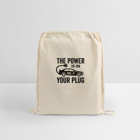 Electric Vehicle The Power Is In Your Plug