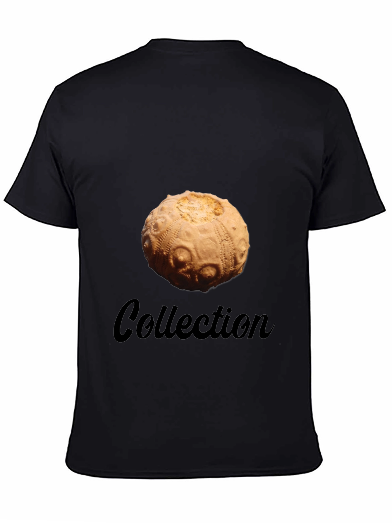 Sea Urchin Collection T-Shirt