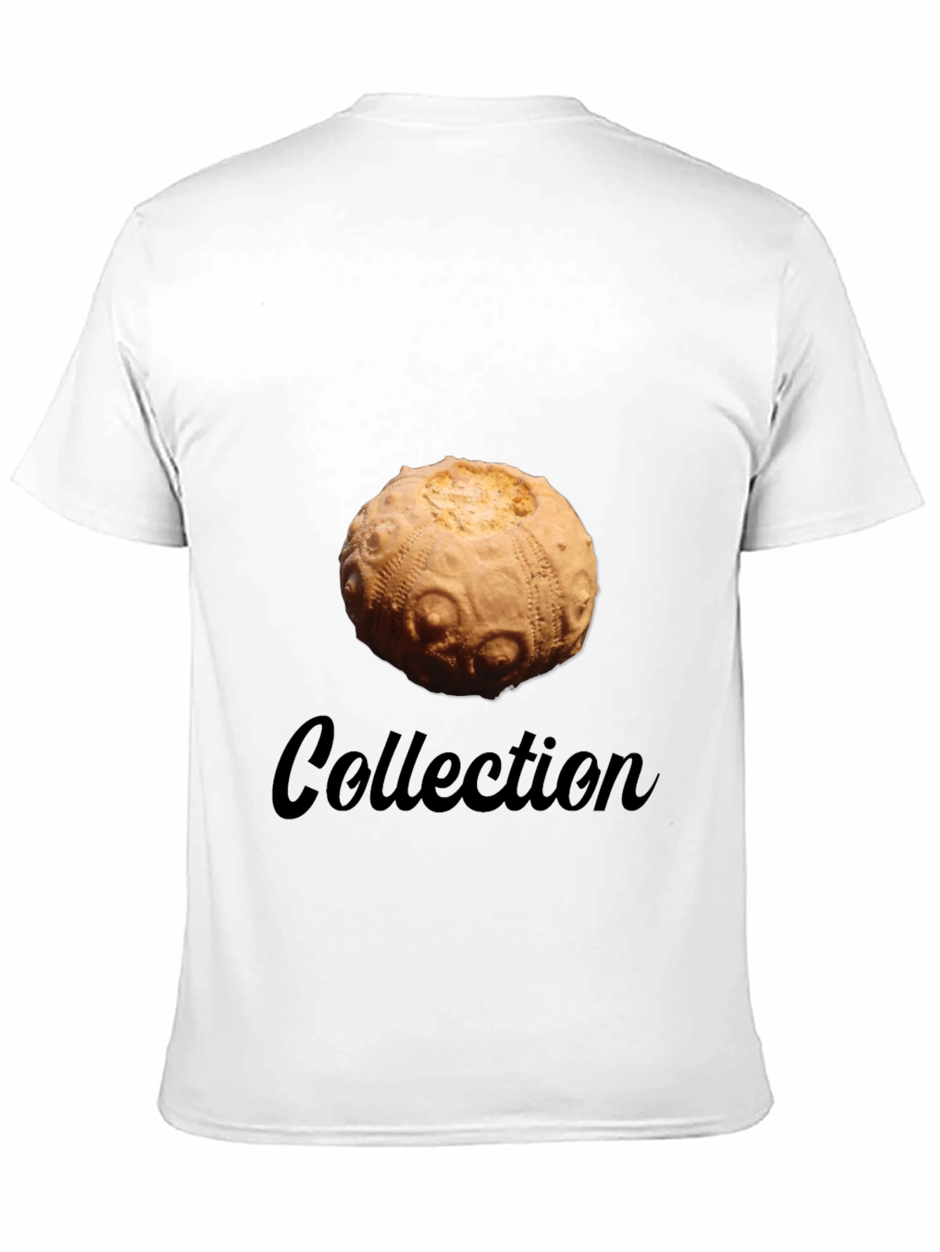 Sea Urchin Collection T-Shirt