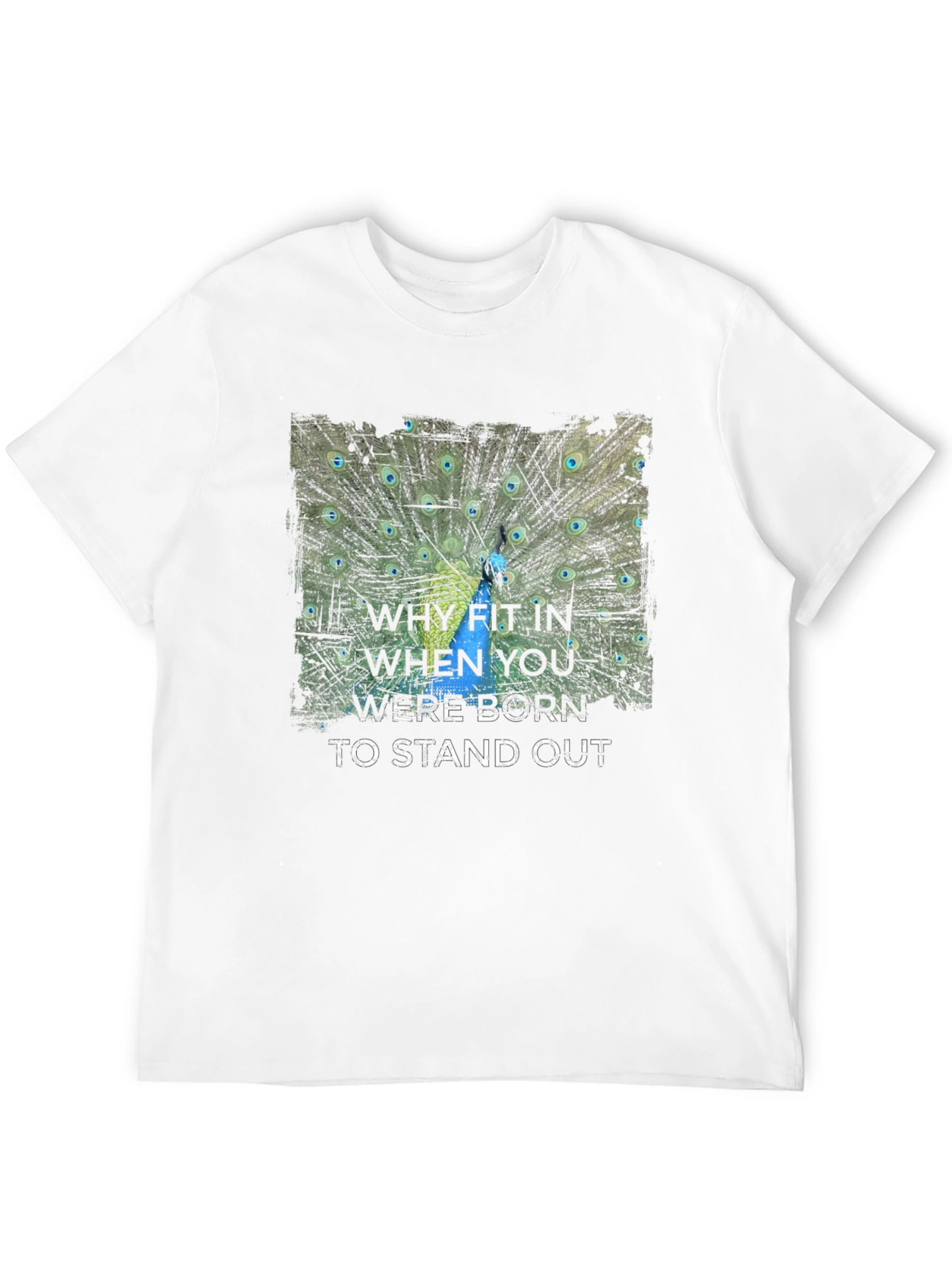 Stand Out Peacock Graphic Tee - Black Cotton T-Shirt