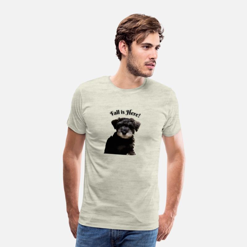 Fall is Here 2022 Mocha Joy Brown Mini Schnauzer